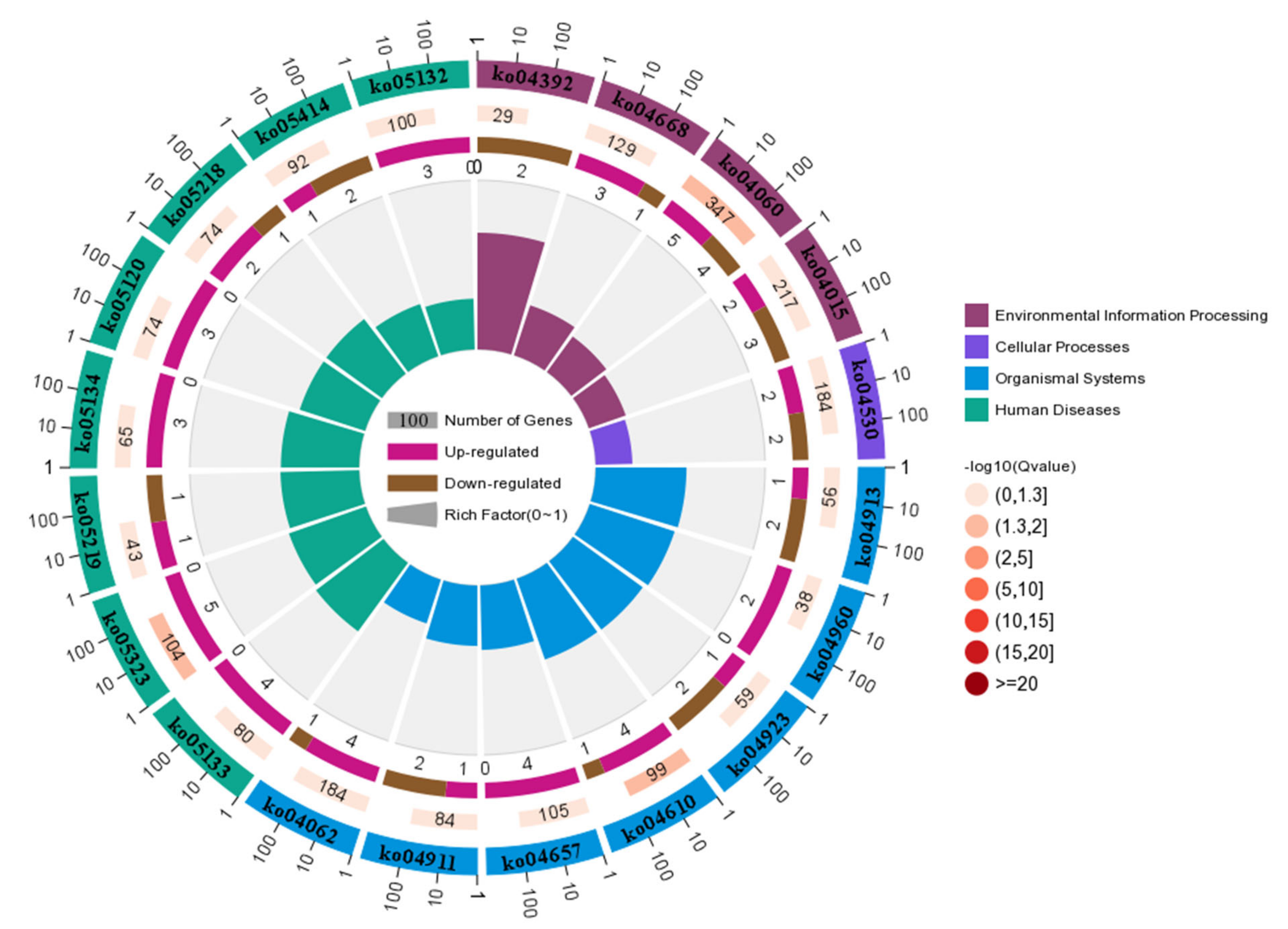 Animals 11 01207 g008 Animals 11 01207 g008