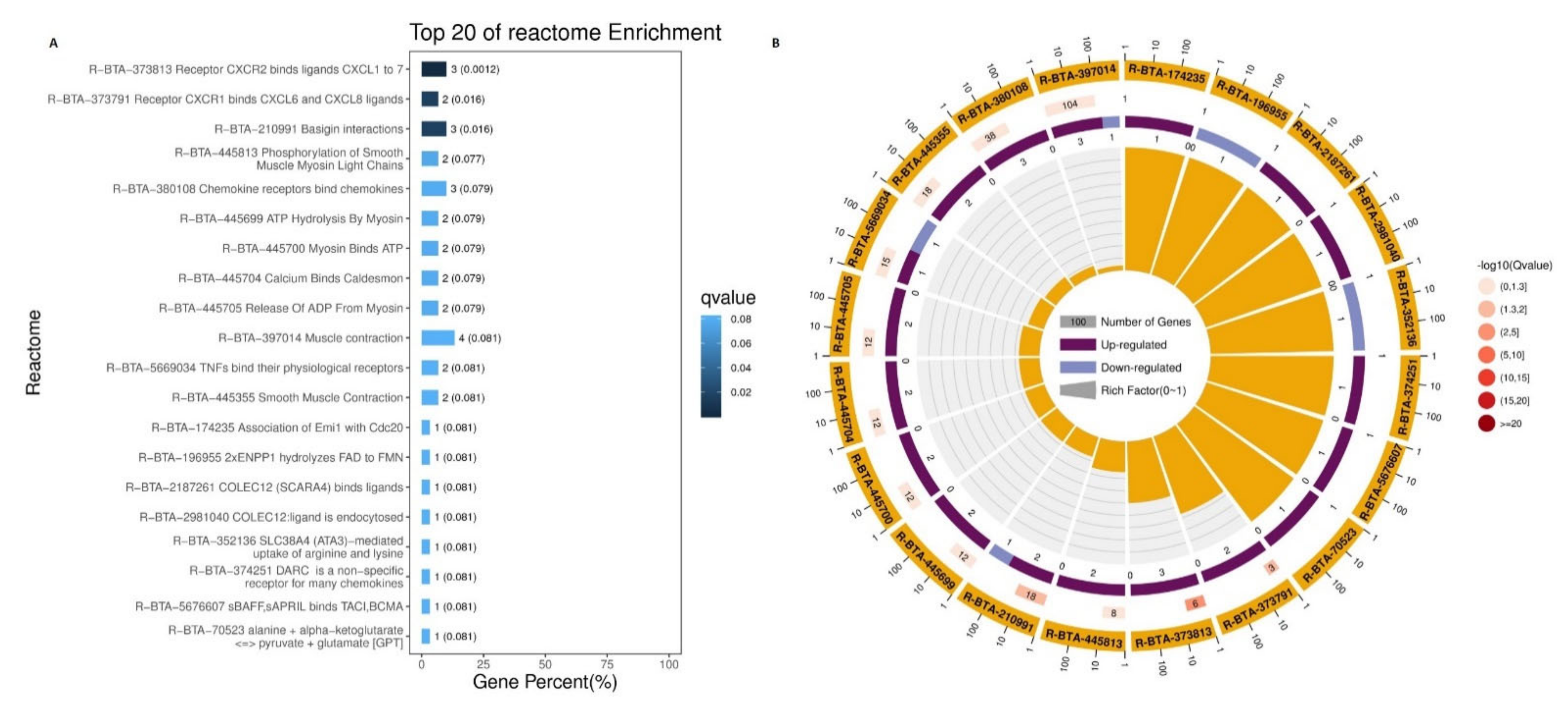 Animals 11 01207 g010 Animals 11 01207 g010