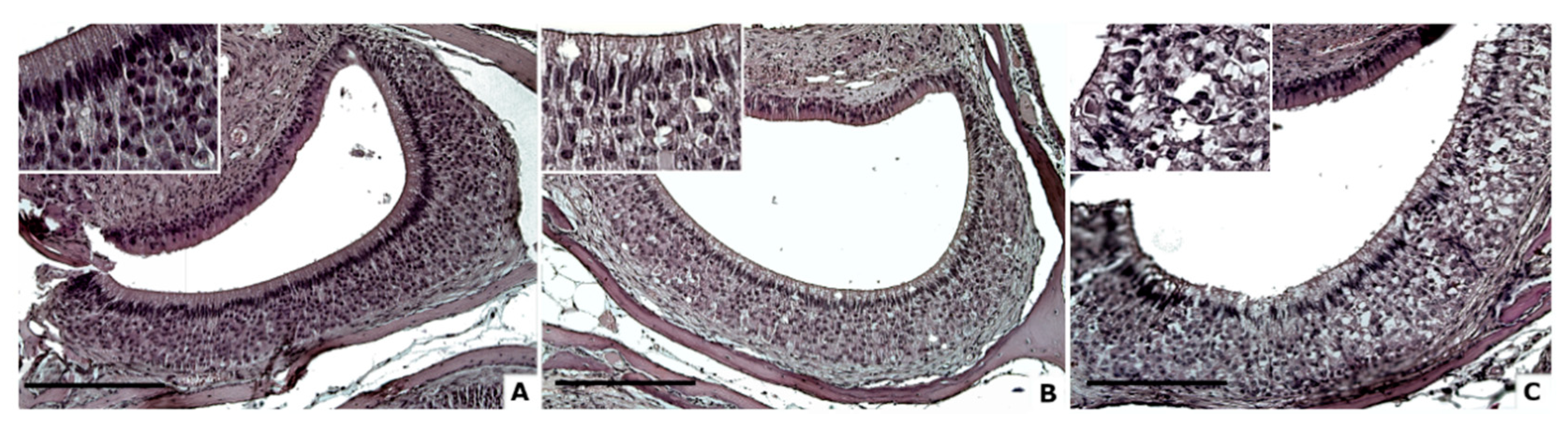 Animals 11 01211 g001 Animals 11 01211 g001