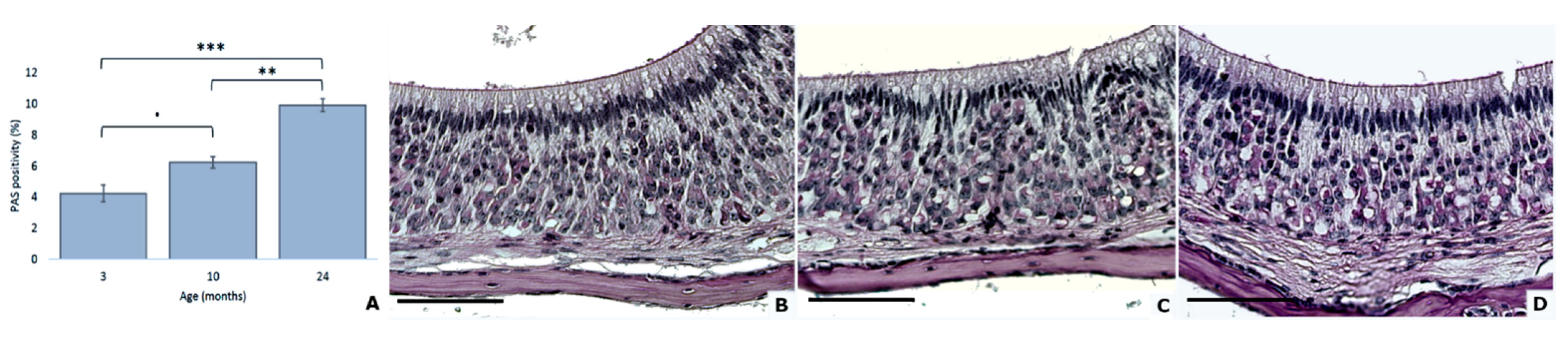 Animals 11 01211 g002 Animals 11 01211 g002
