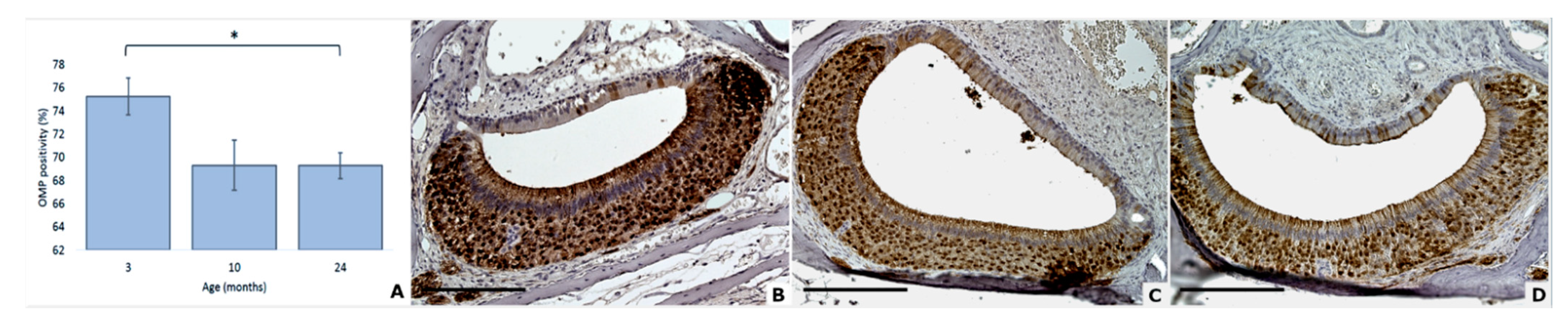 Animals 11 01211 g003 Animals 11 01211 g003