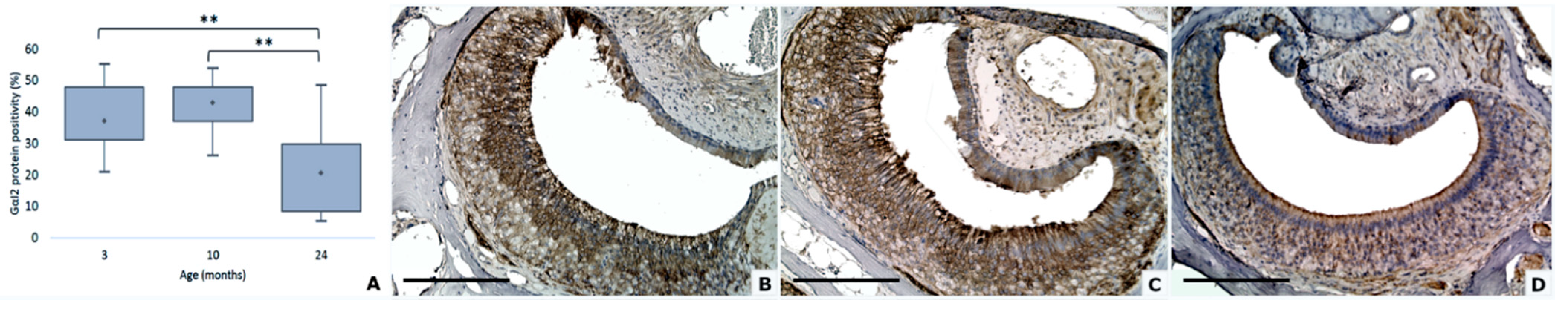Animals 11 01211 g004 Animals 11 01211 g004