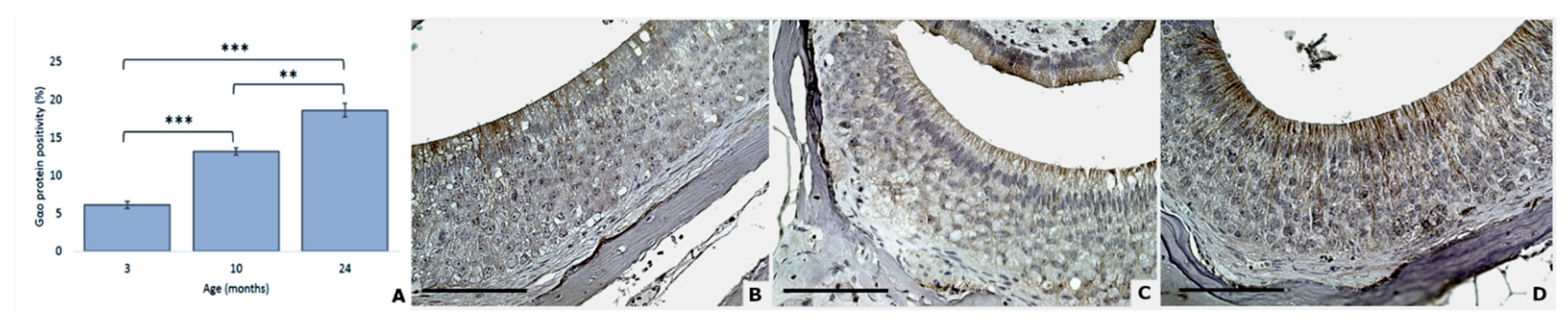 Animals 11 01211 g005 Animals 11 01211 g005