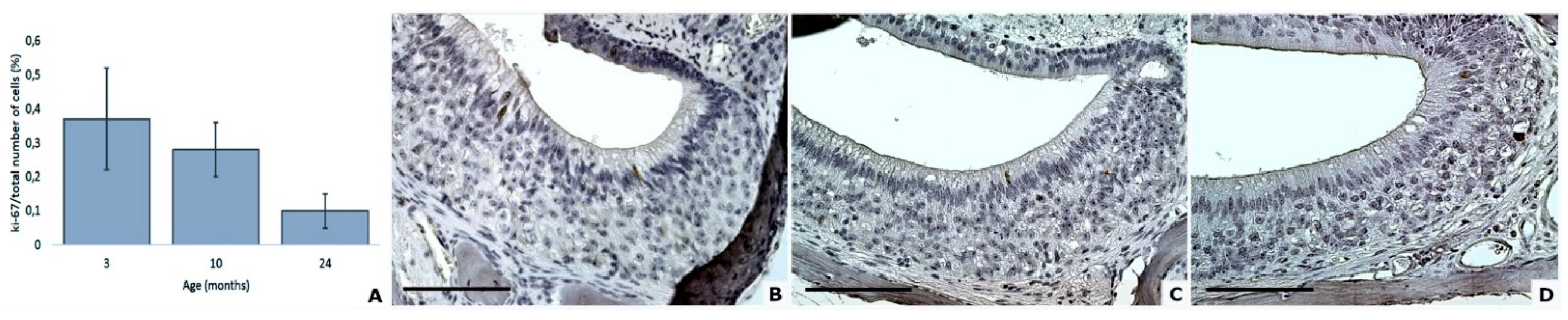 Animals 11 01211 g006 Animals 11 01211 g006