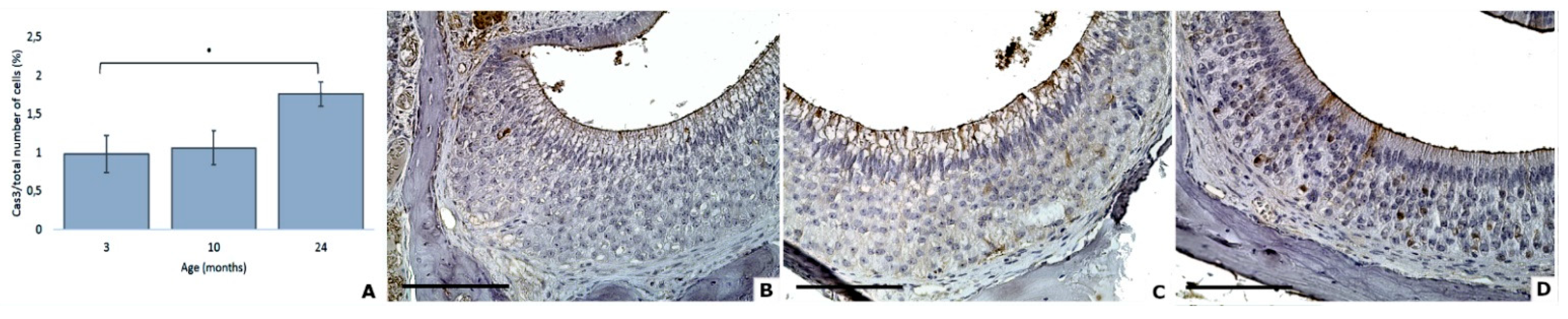 Animals 11 01211 g007 Animals 11 01211 g007