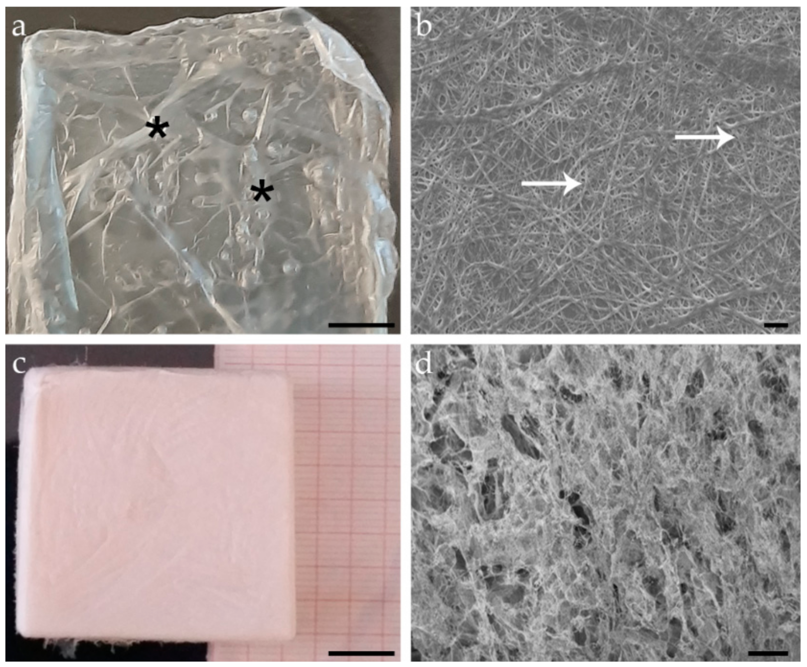 Animals 11 01219 g001 Animals 11 01219 g001