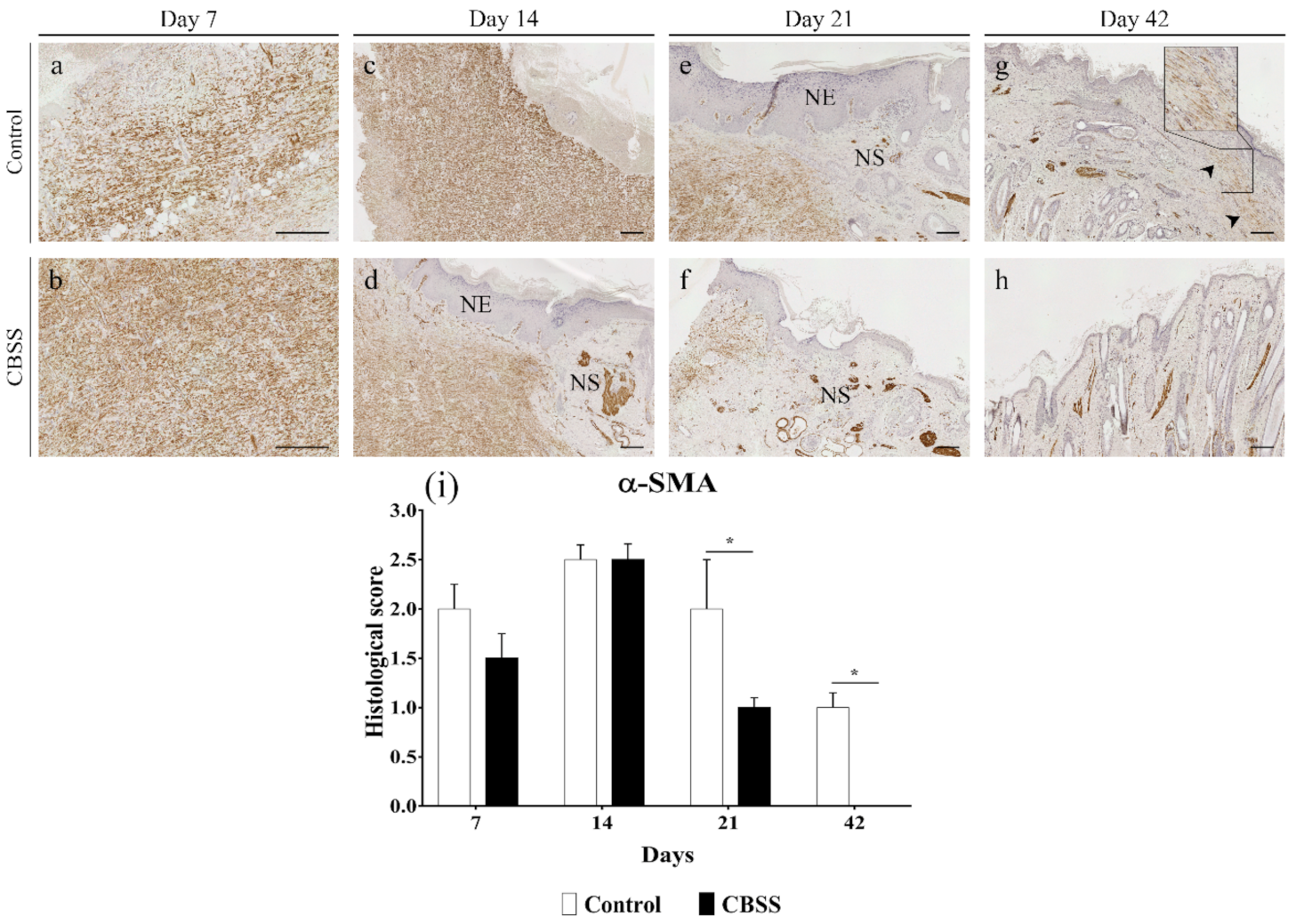 Animals 11 01219 g008 Animals 11 01219 g008