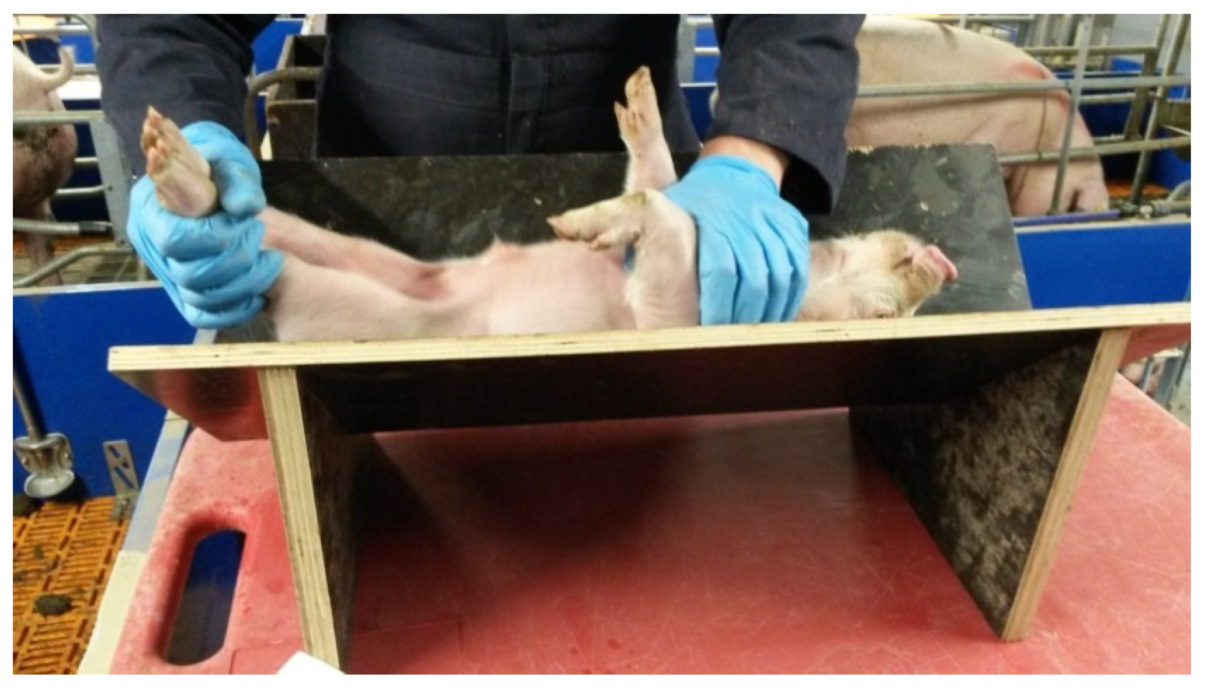 Animals 11 01232 g001