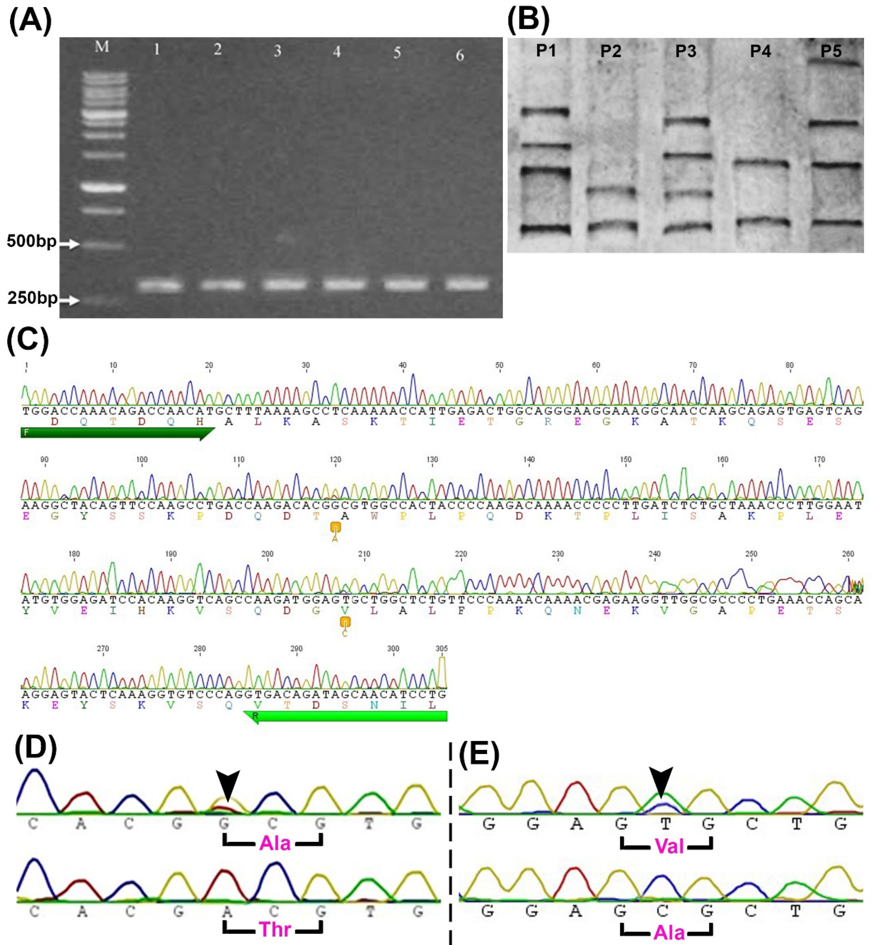 Animals 11 01237 g001