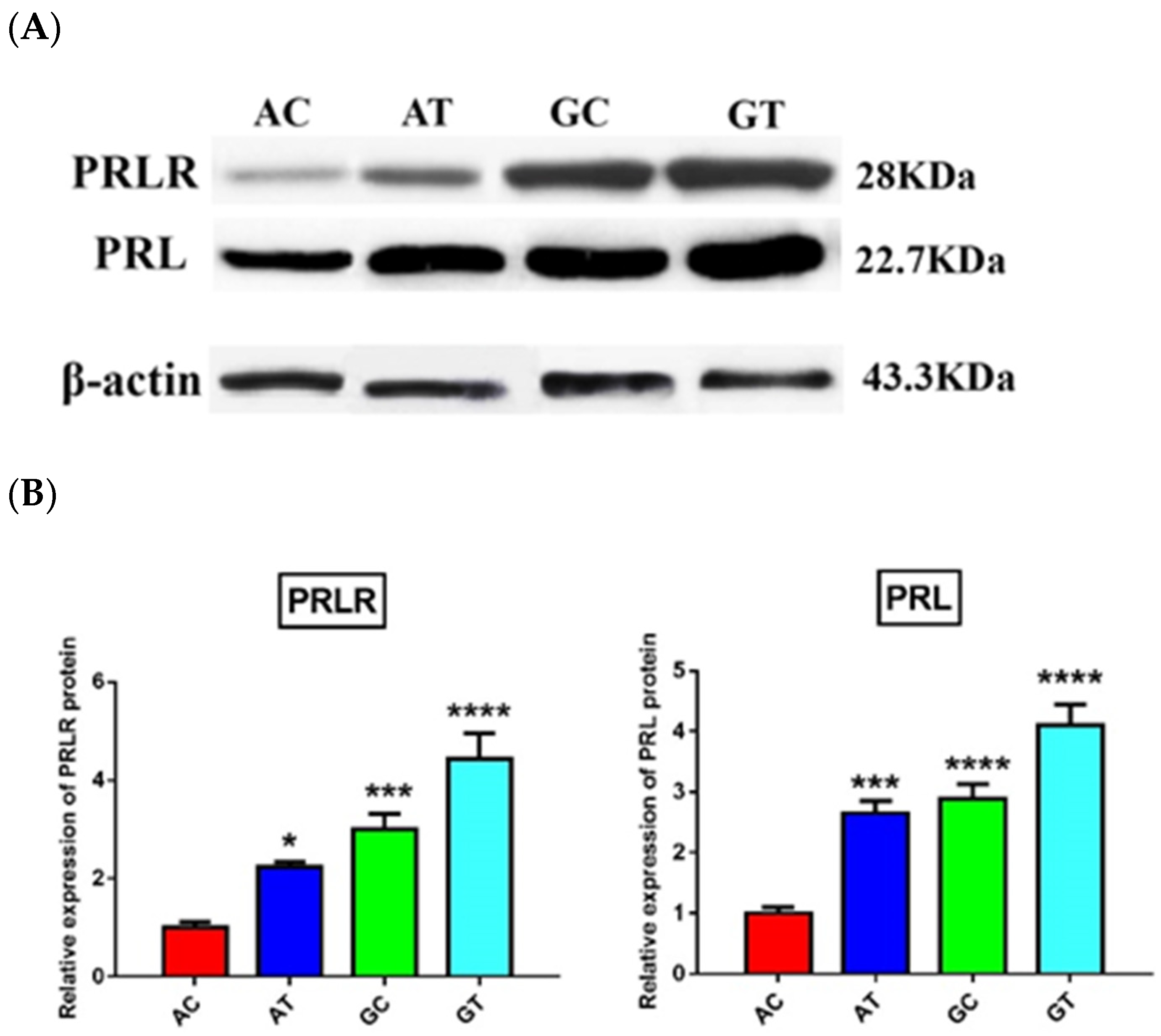 Animals 11 01237 g003