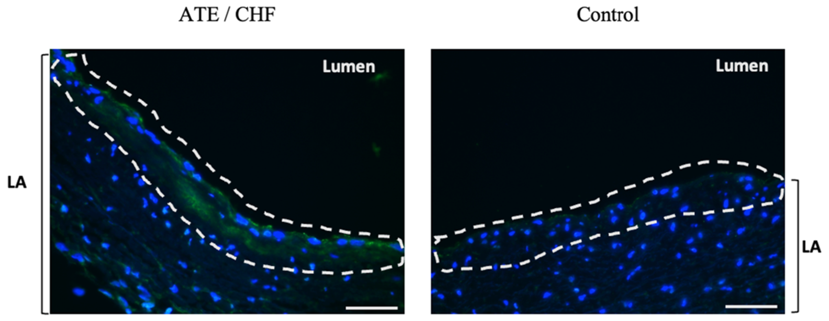 Animals 11 01240 g002 Animals 11 01240 g002