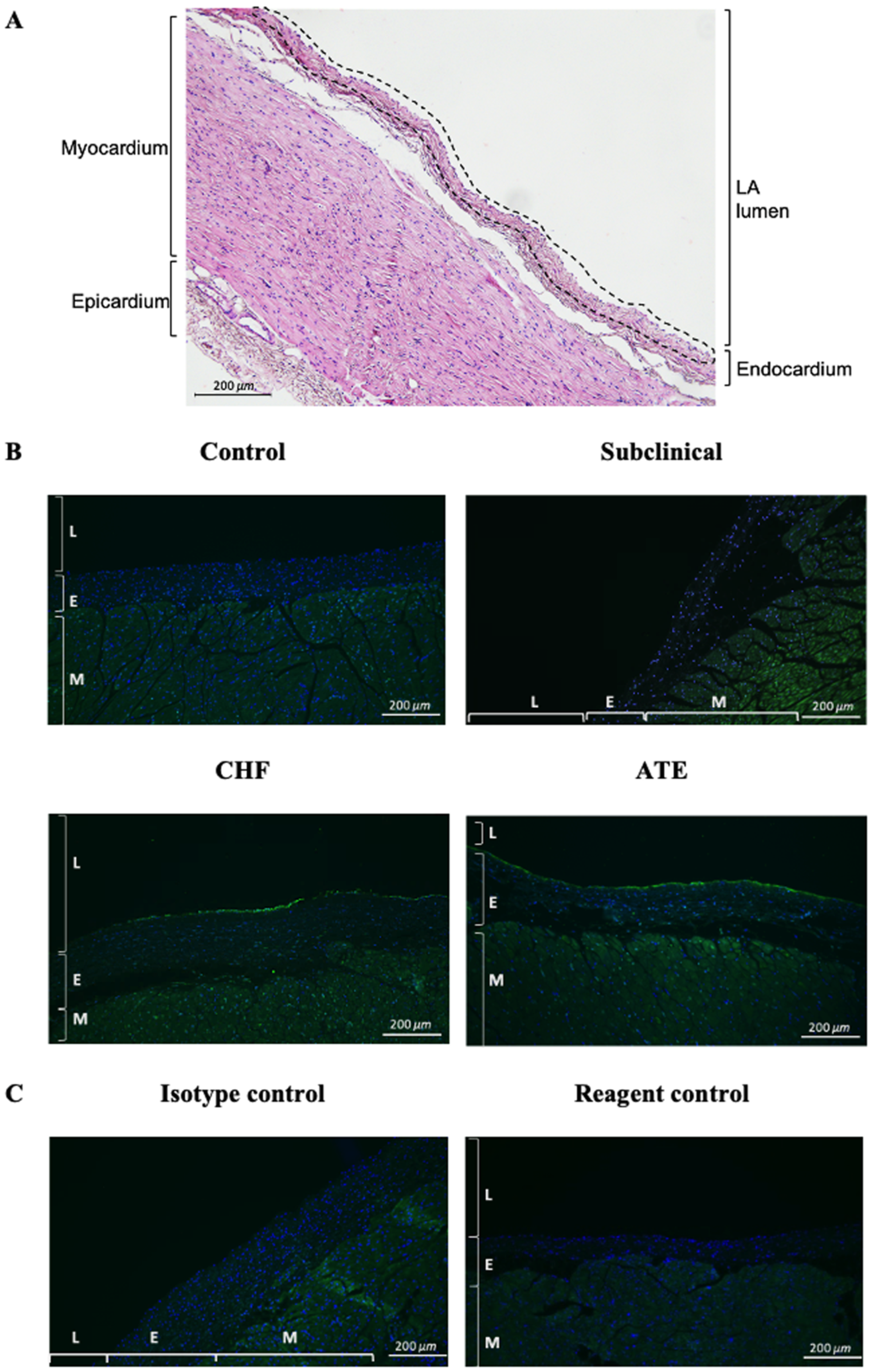 Animals 11 01240 g004 Animals 11 01240 g004