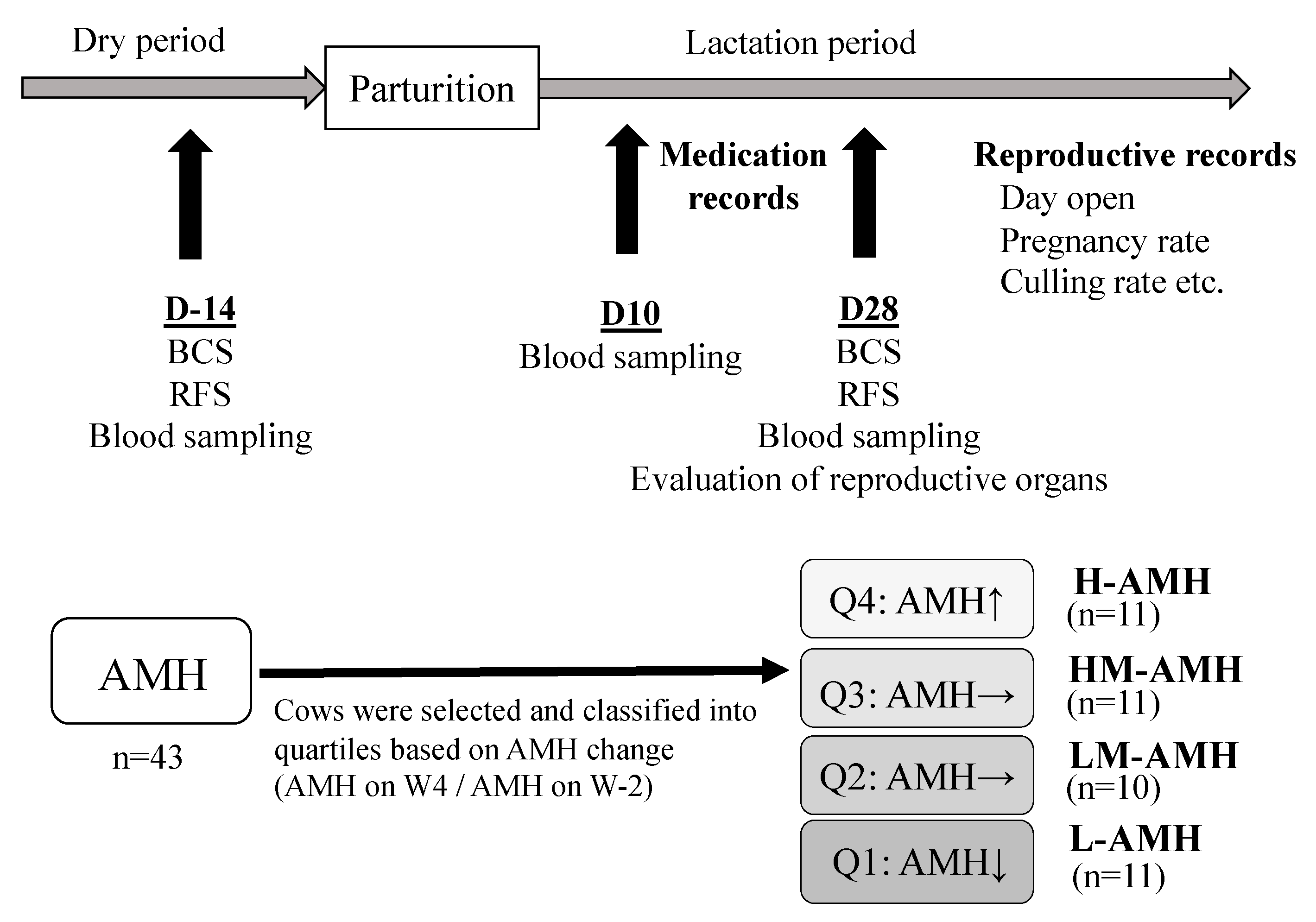 Animals 11 01241 g001