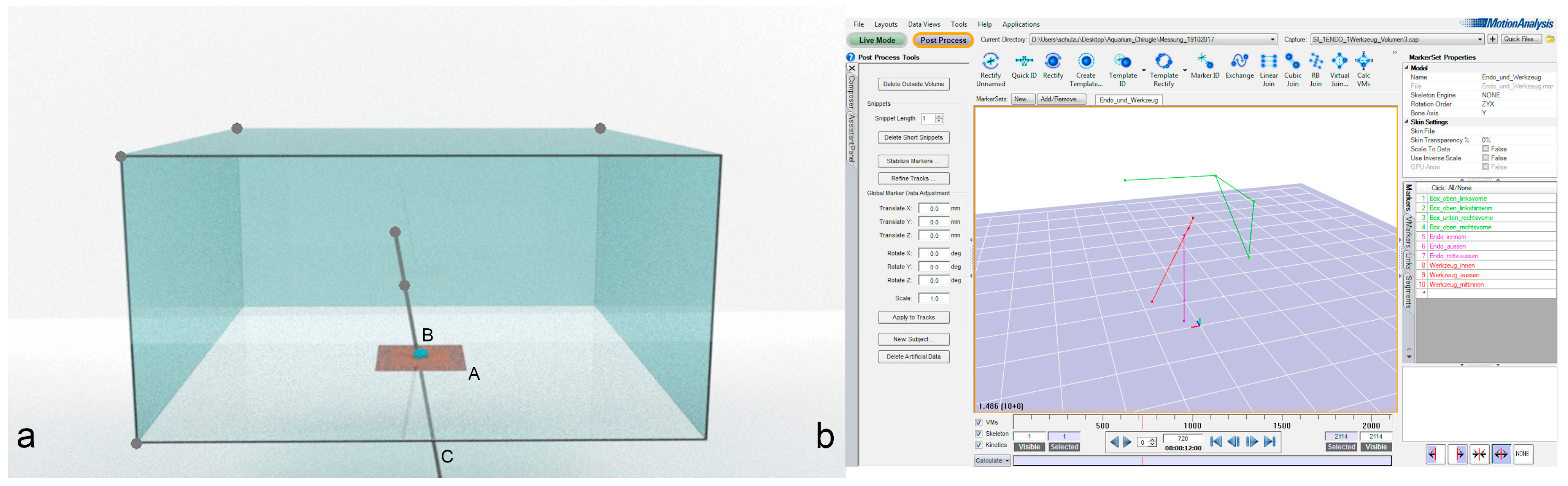 Animals 11 01242 g001