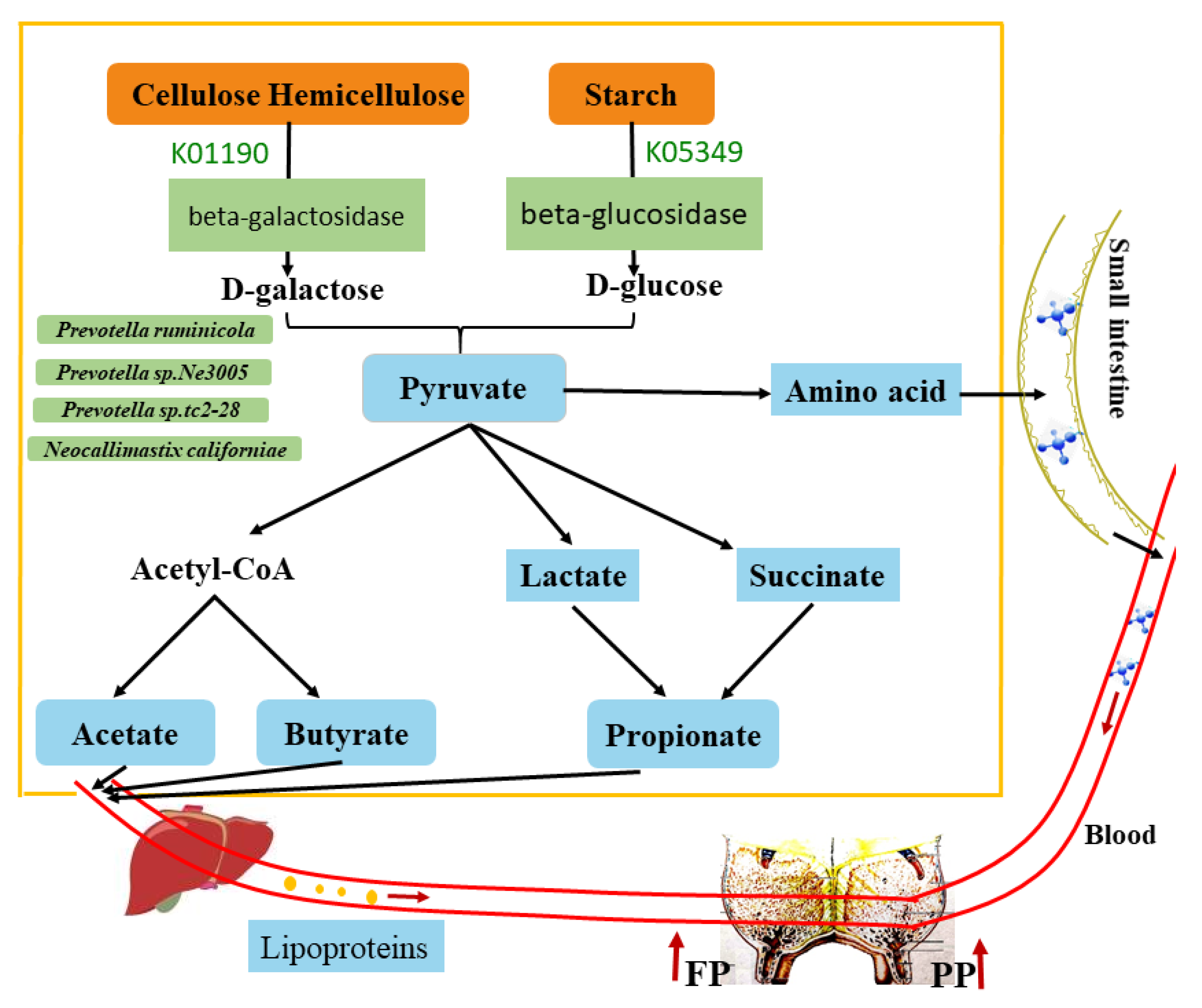 Animals 11 01247 g011