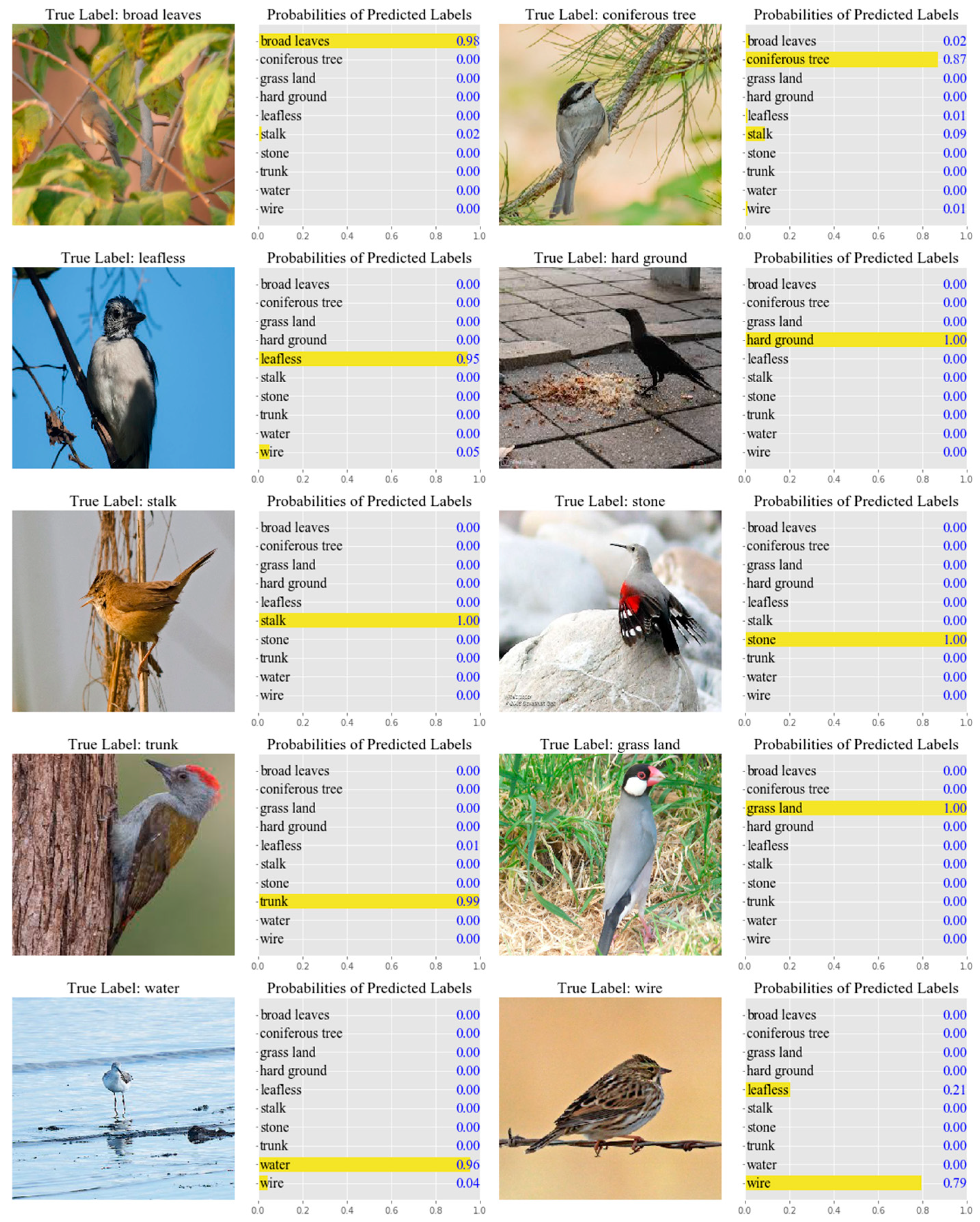 Animals 11 01263 g006