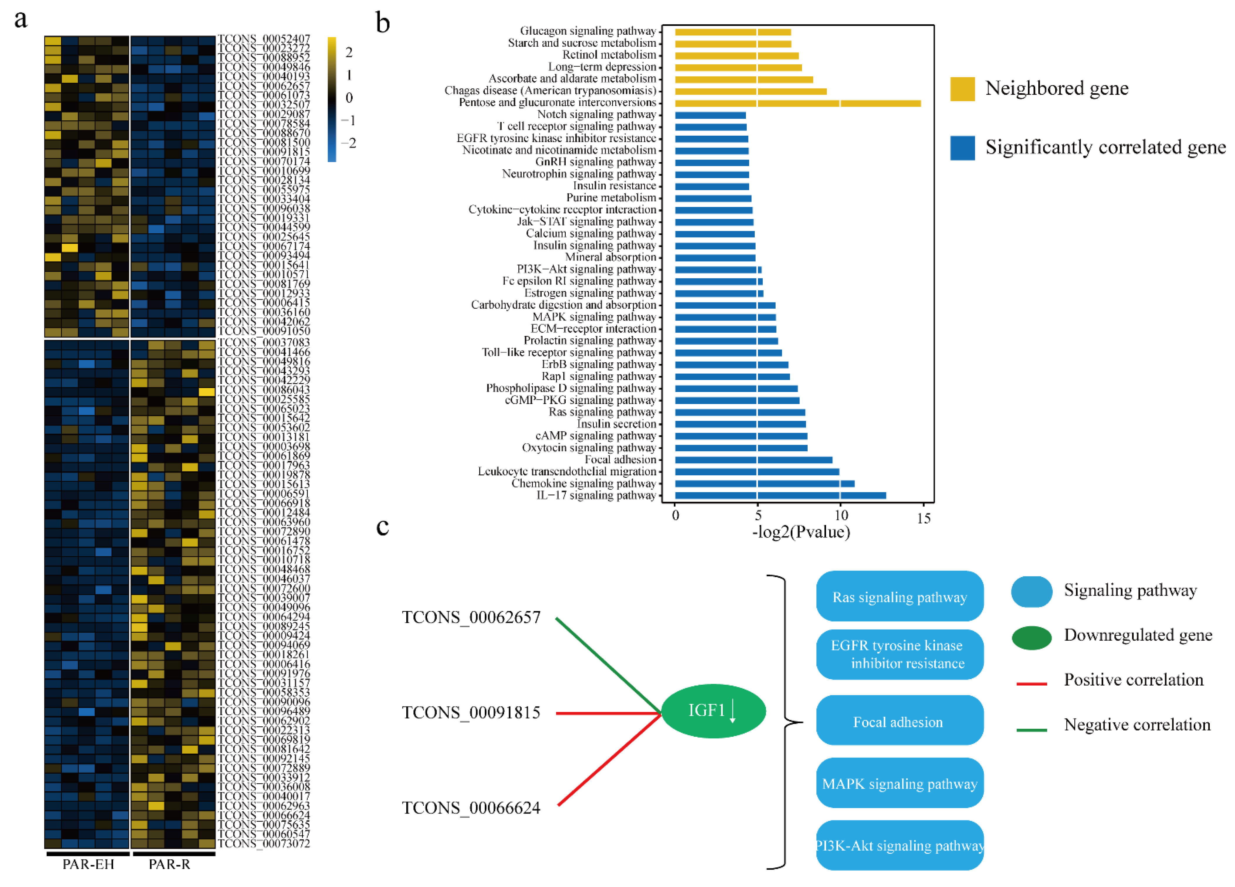 Animals 11 01268 g004 Animals 11 01268 g004