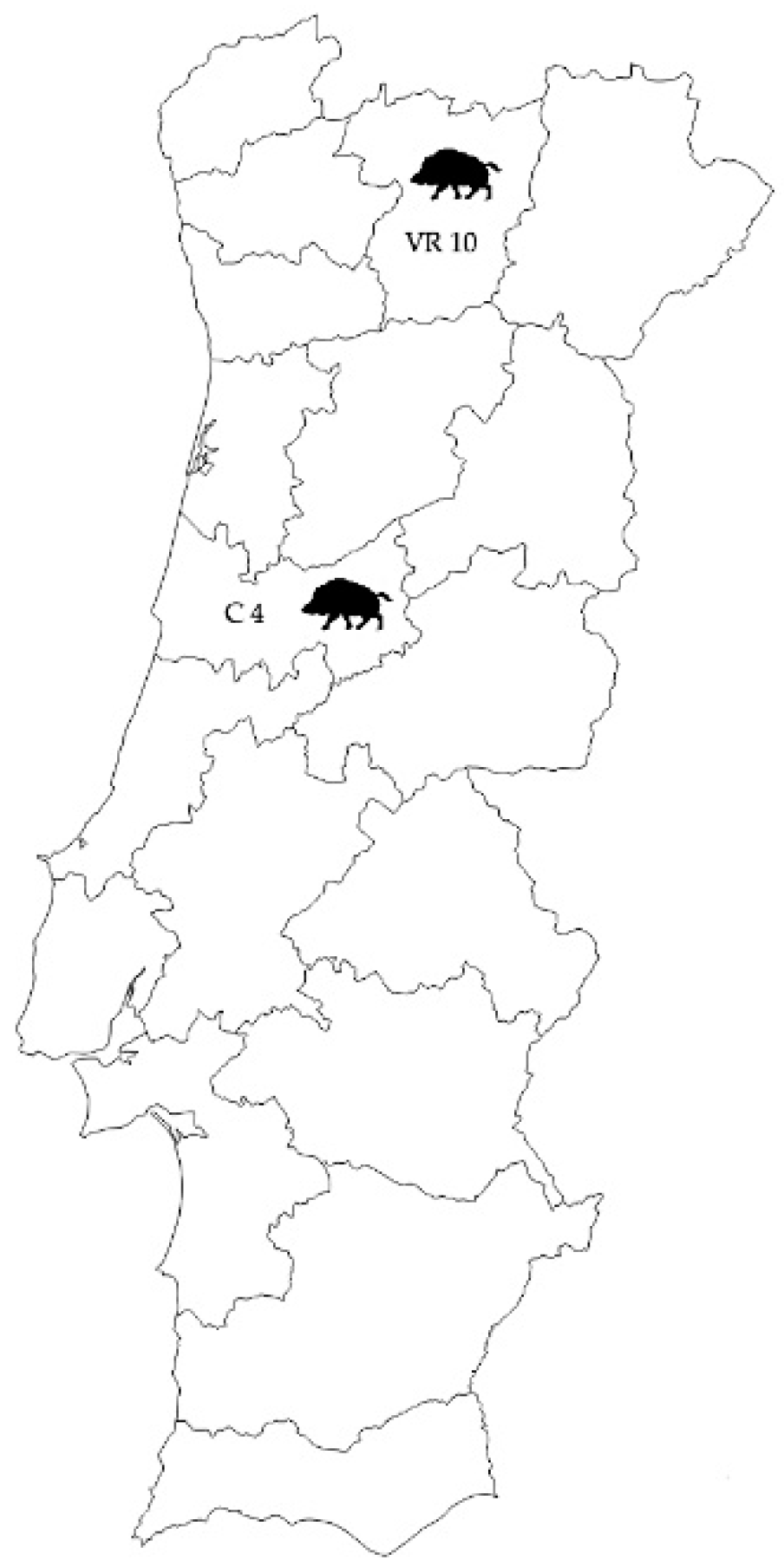 Animals 11 01269 g001 Animals 11 01269 g001