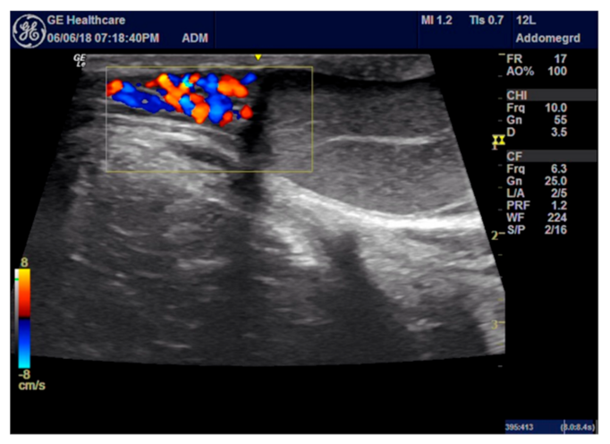 Animals 11 01275 g001 Animals 11 01275 g001