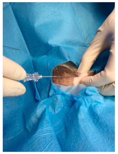 Animals 11 01275 g004 Animals 11 01275 g004