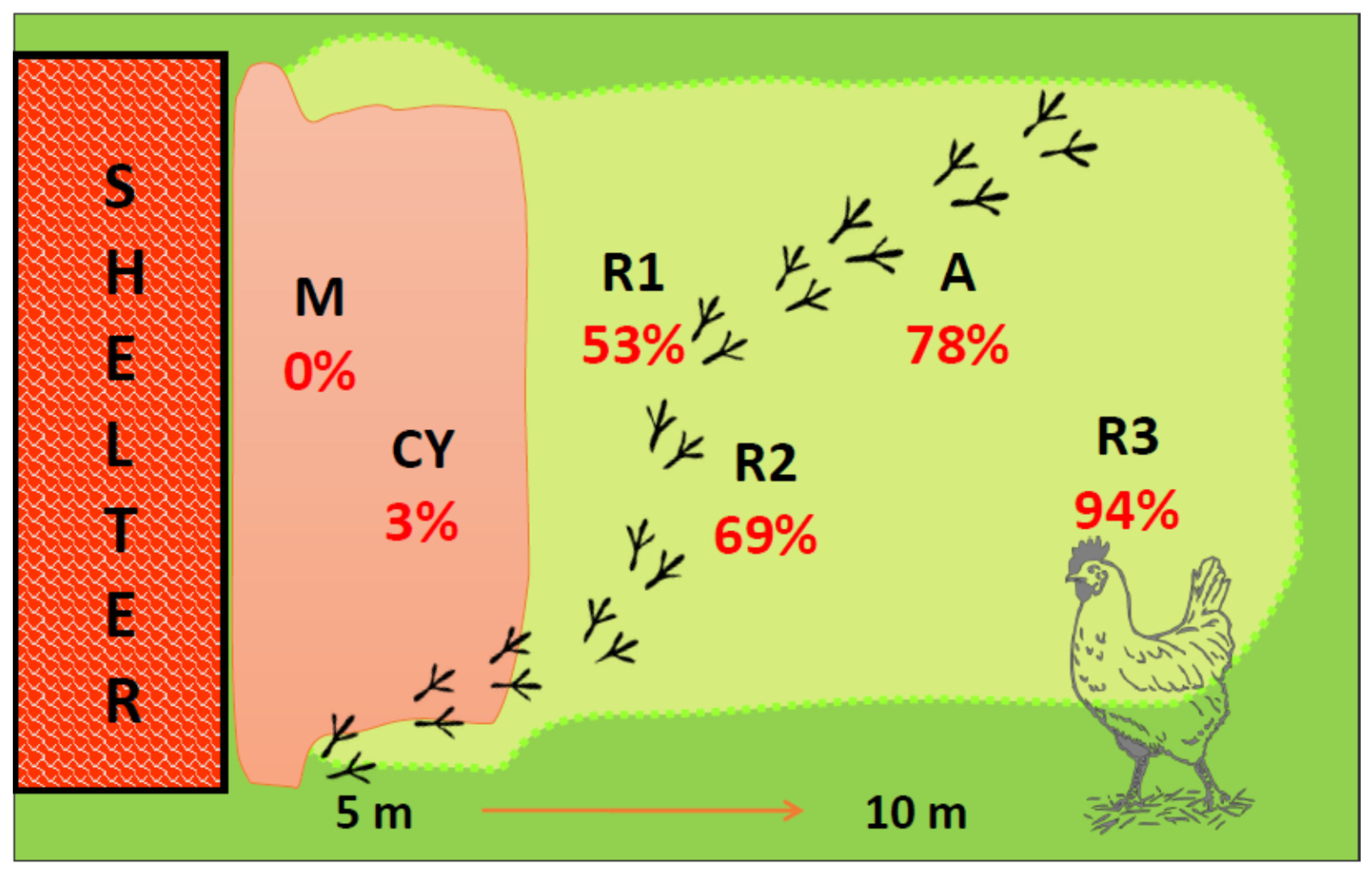 Animals 11 01281 g004