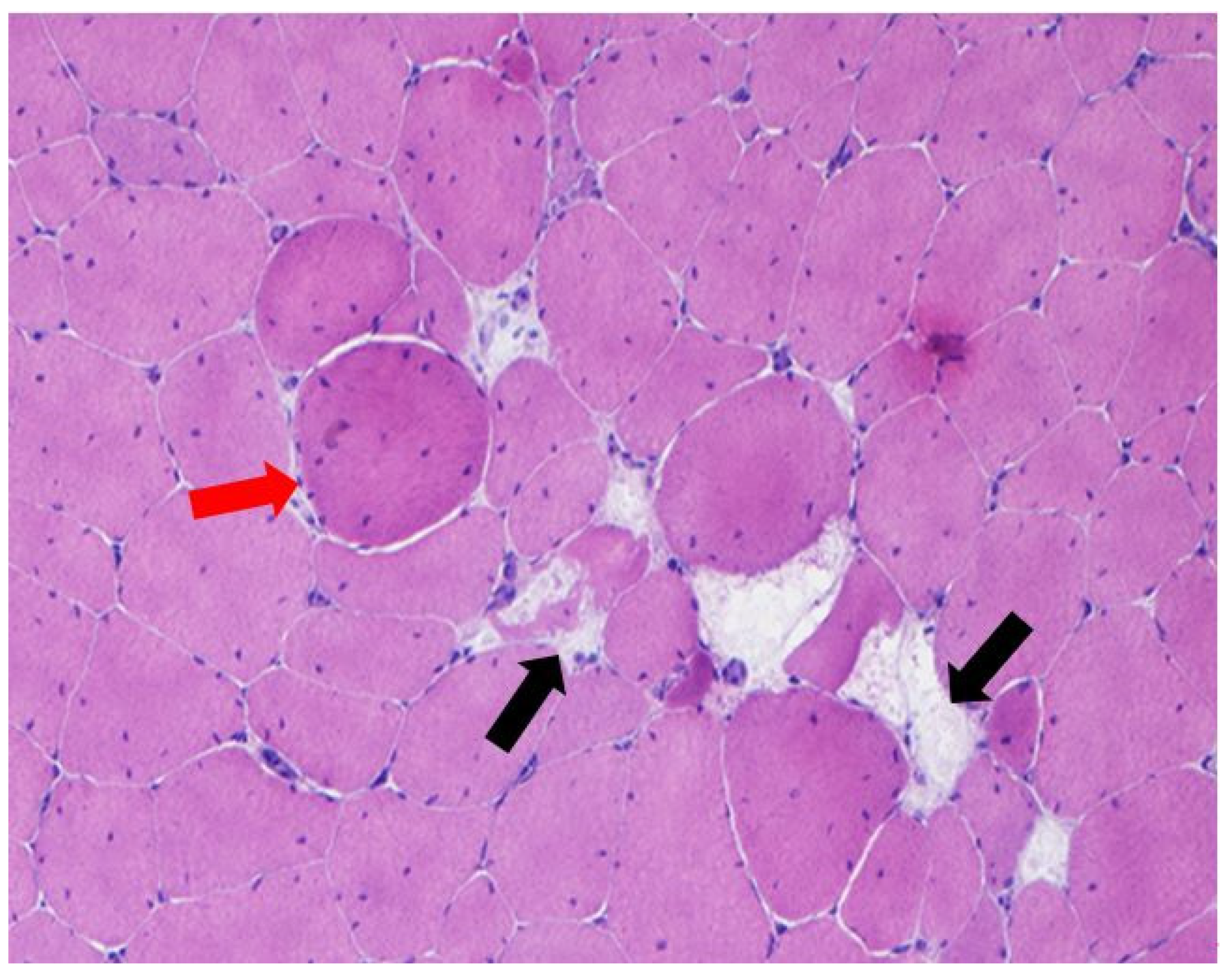 Animals 11 01281 g006