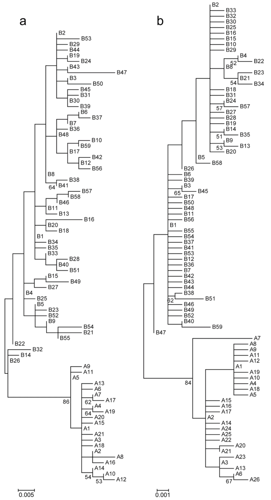 Animals 11 01283 g001