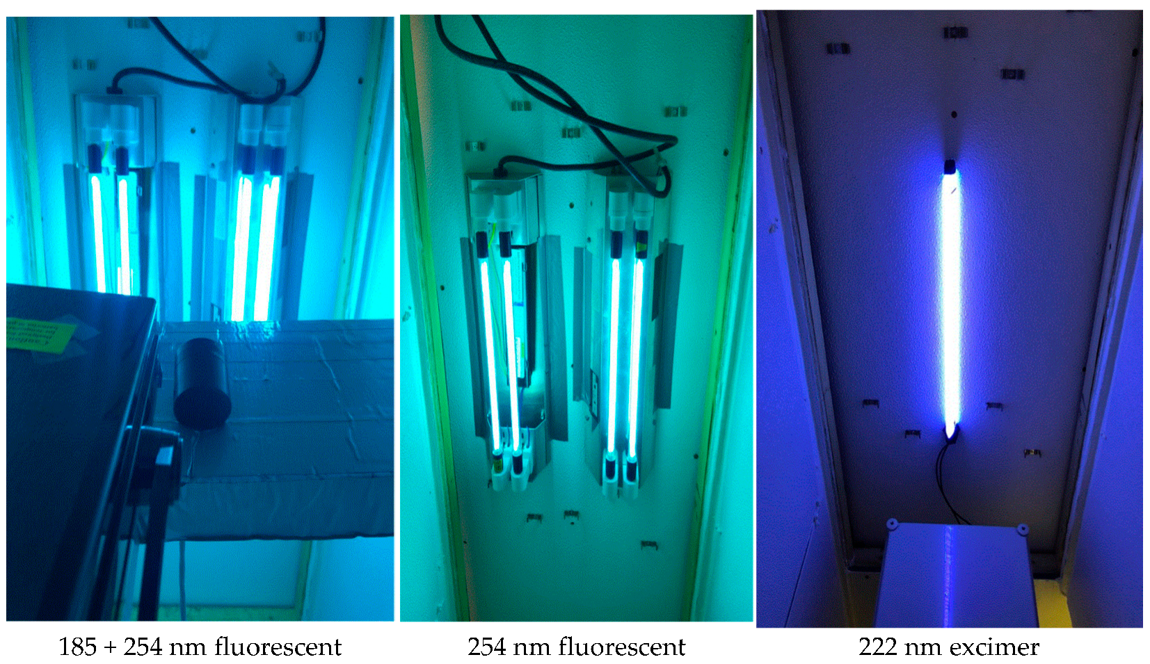 Animals 11 01289 g0a2 Animals 11 01289 g0a2