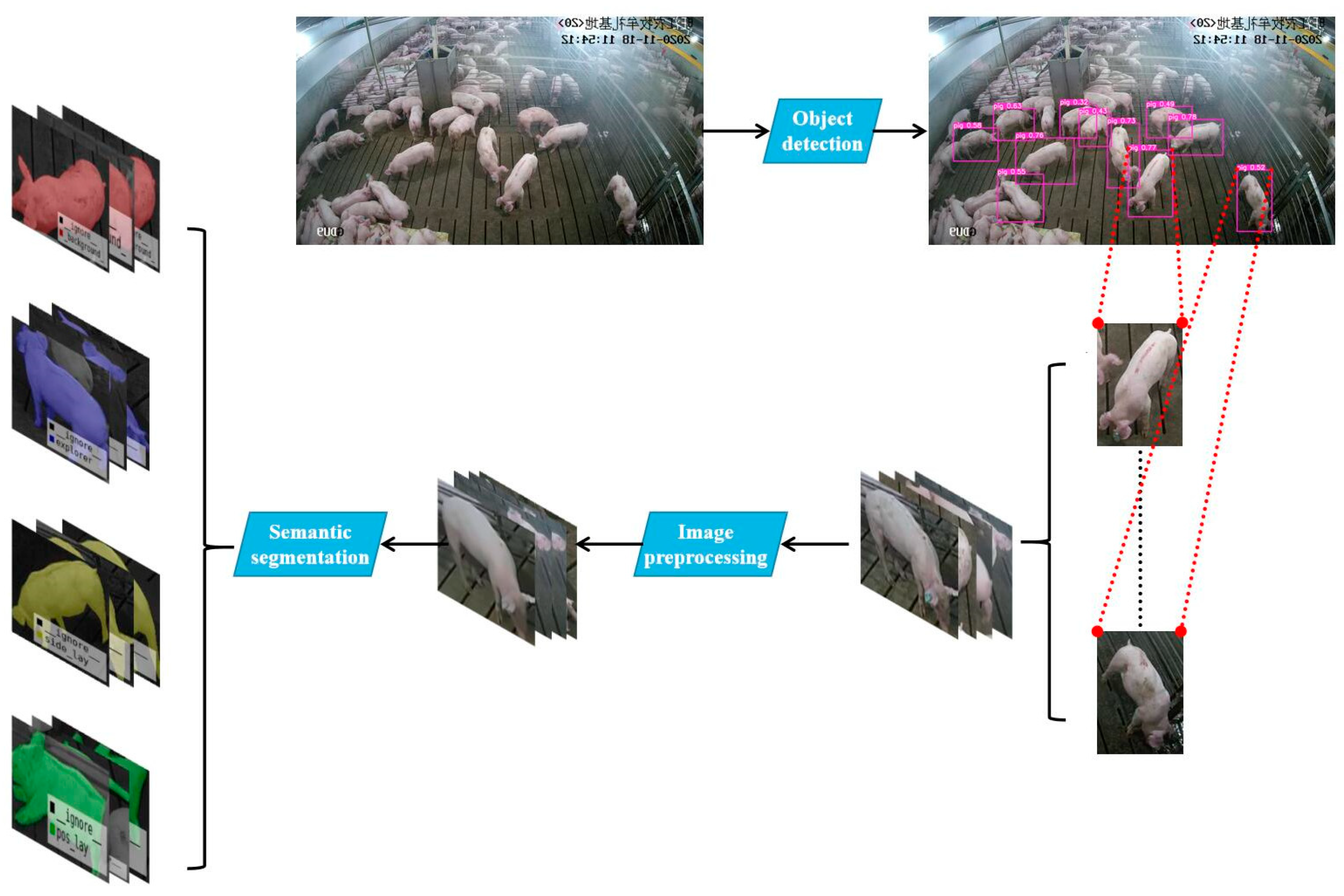 Animals 11 01295 g001