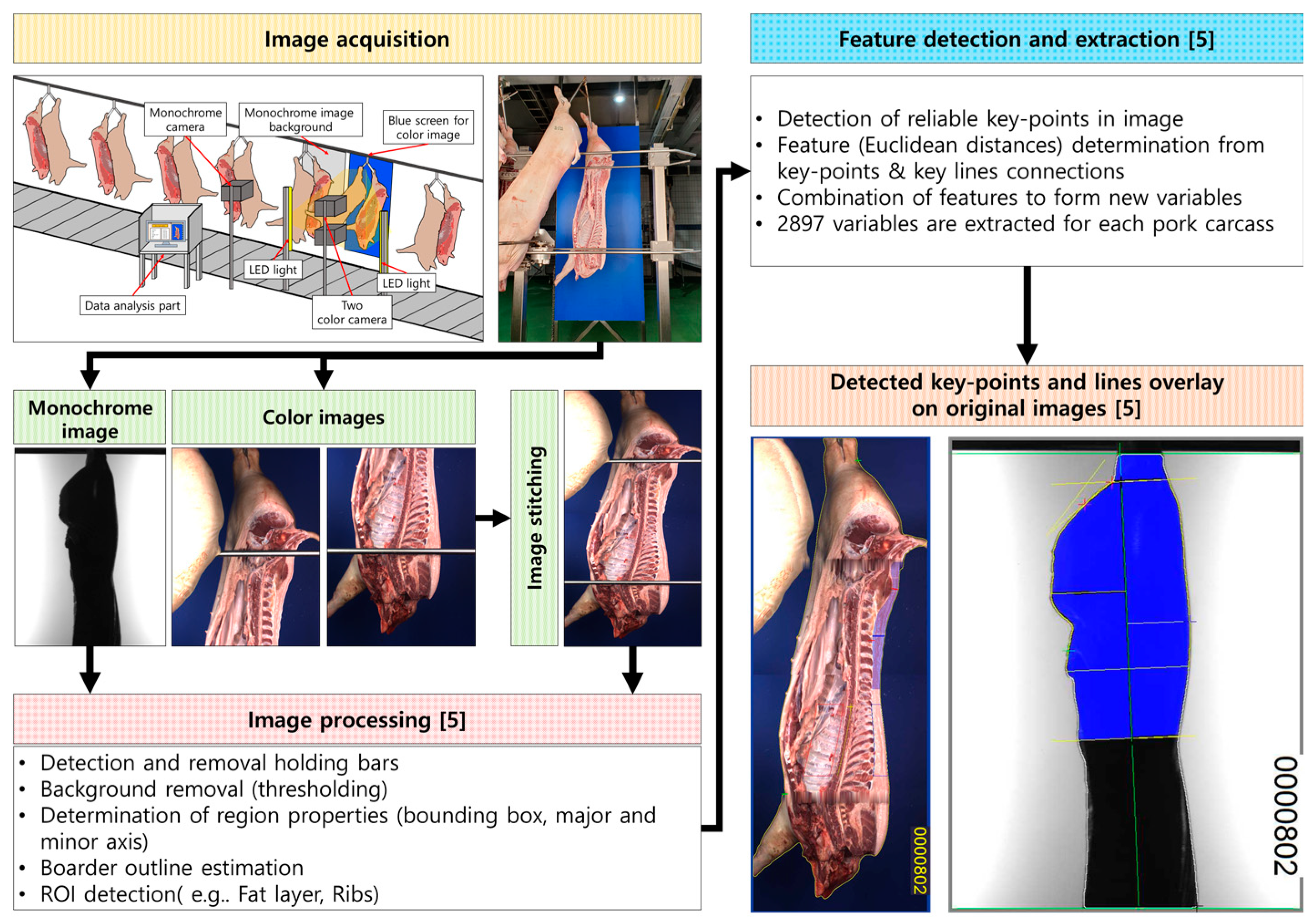 Animals 11 01297 g001