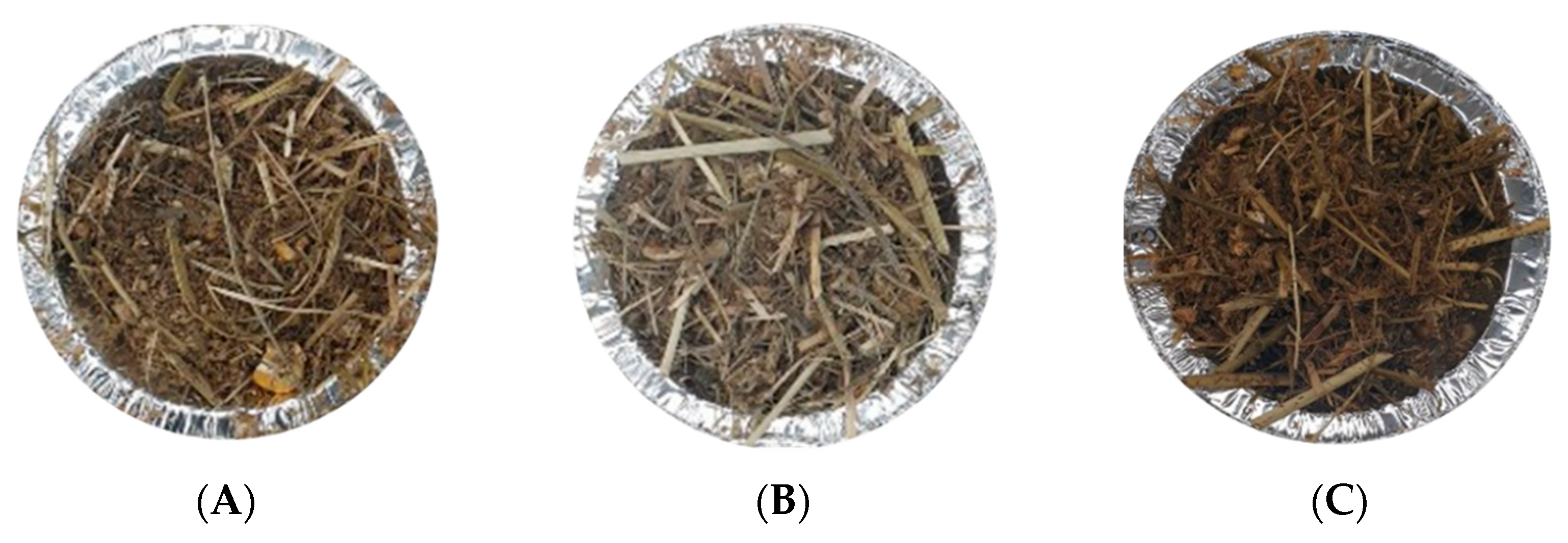 Animals 11 01299 g001