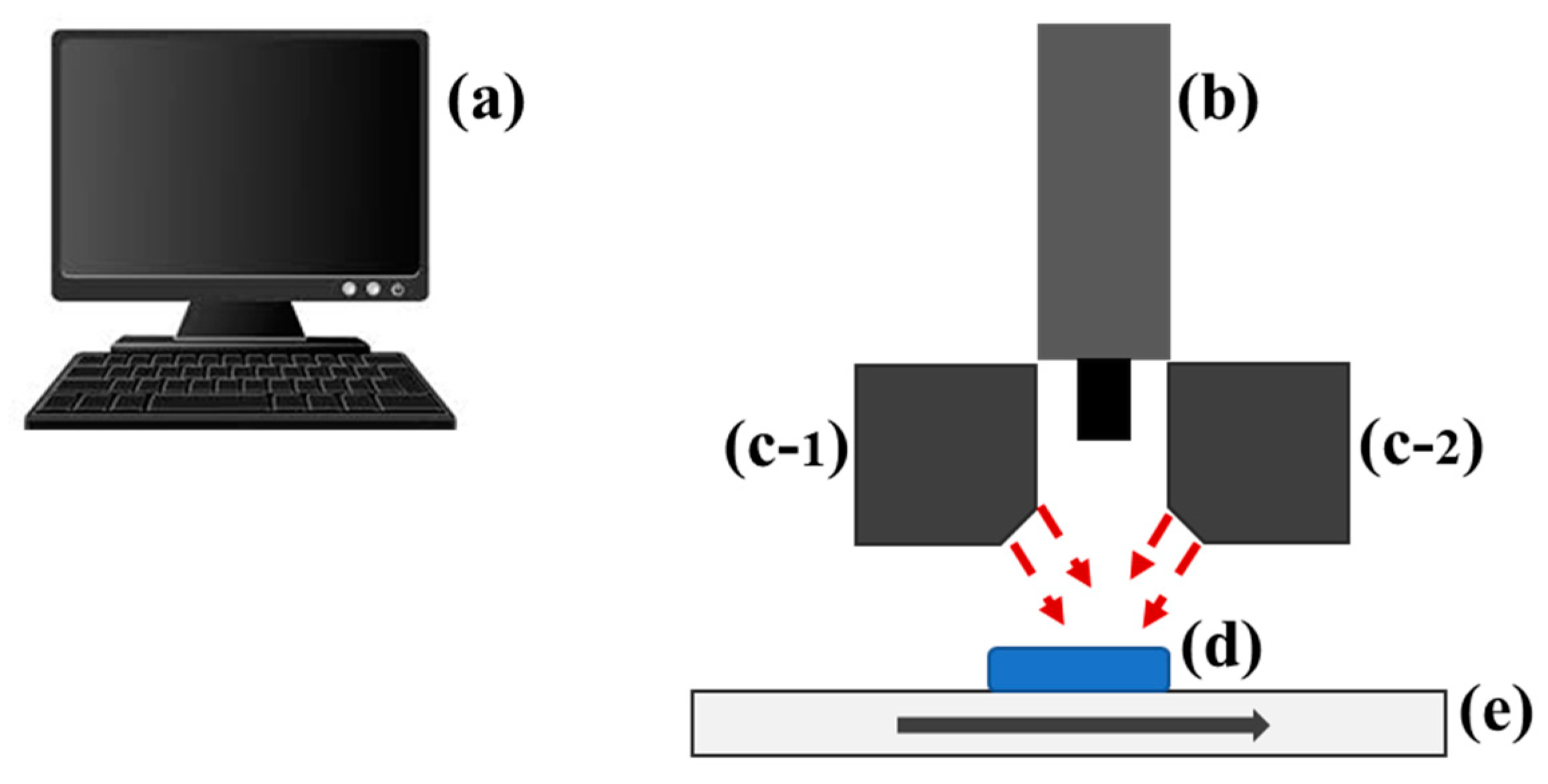 Animals 11 01299 g002
