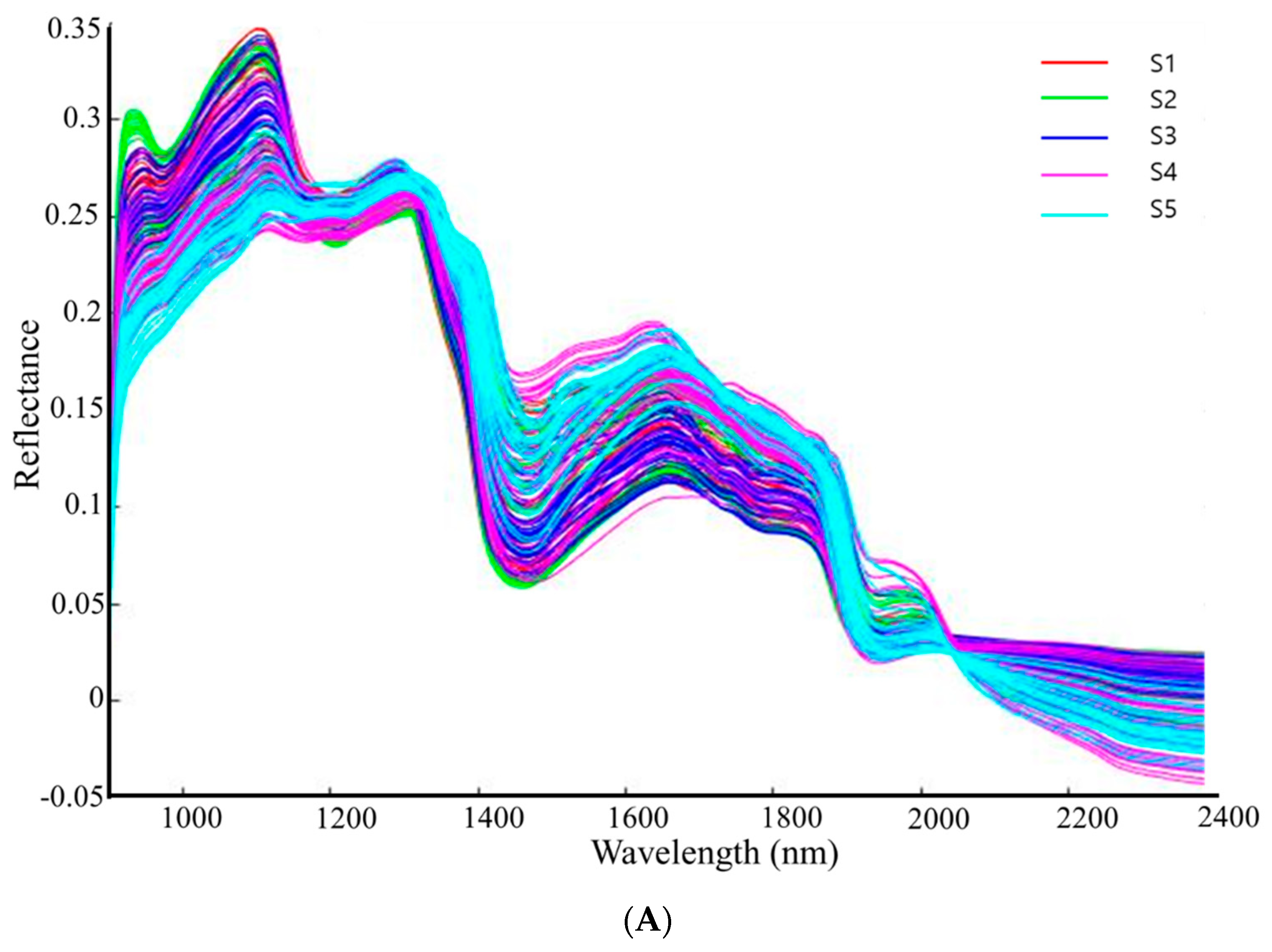 Animals 11 01299 g005a