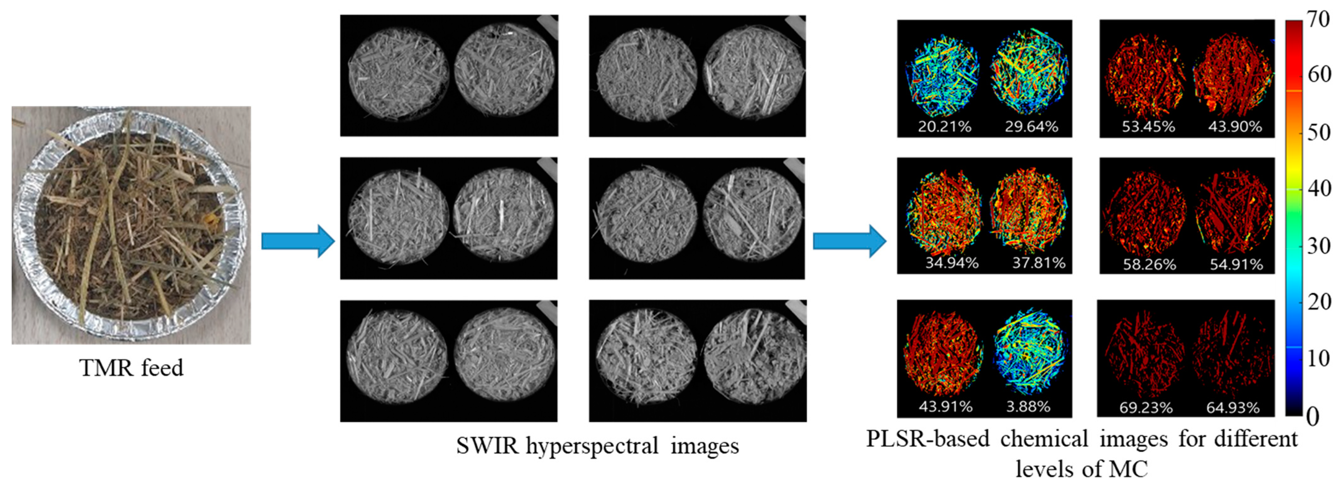 Animals 11 01299 g008