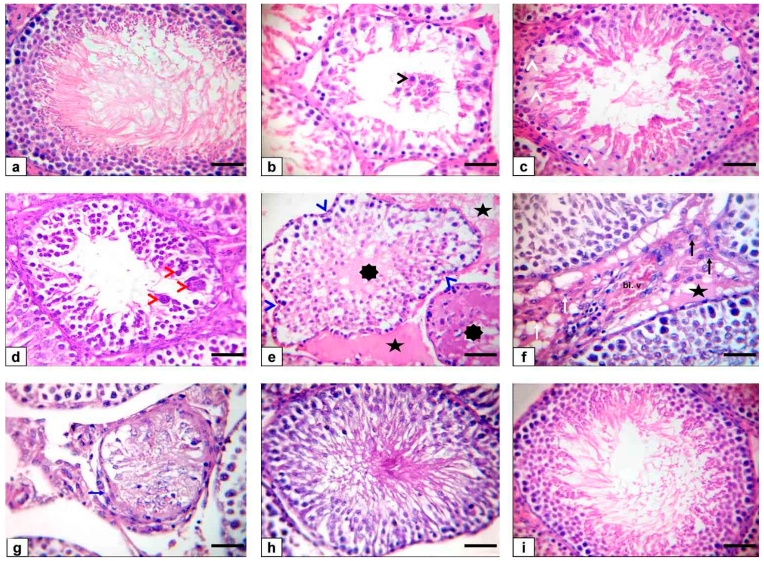 Animals 11 01302 g003 Animals 11 01302 g003