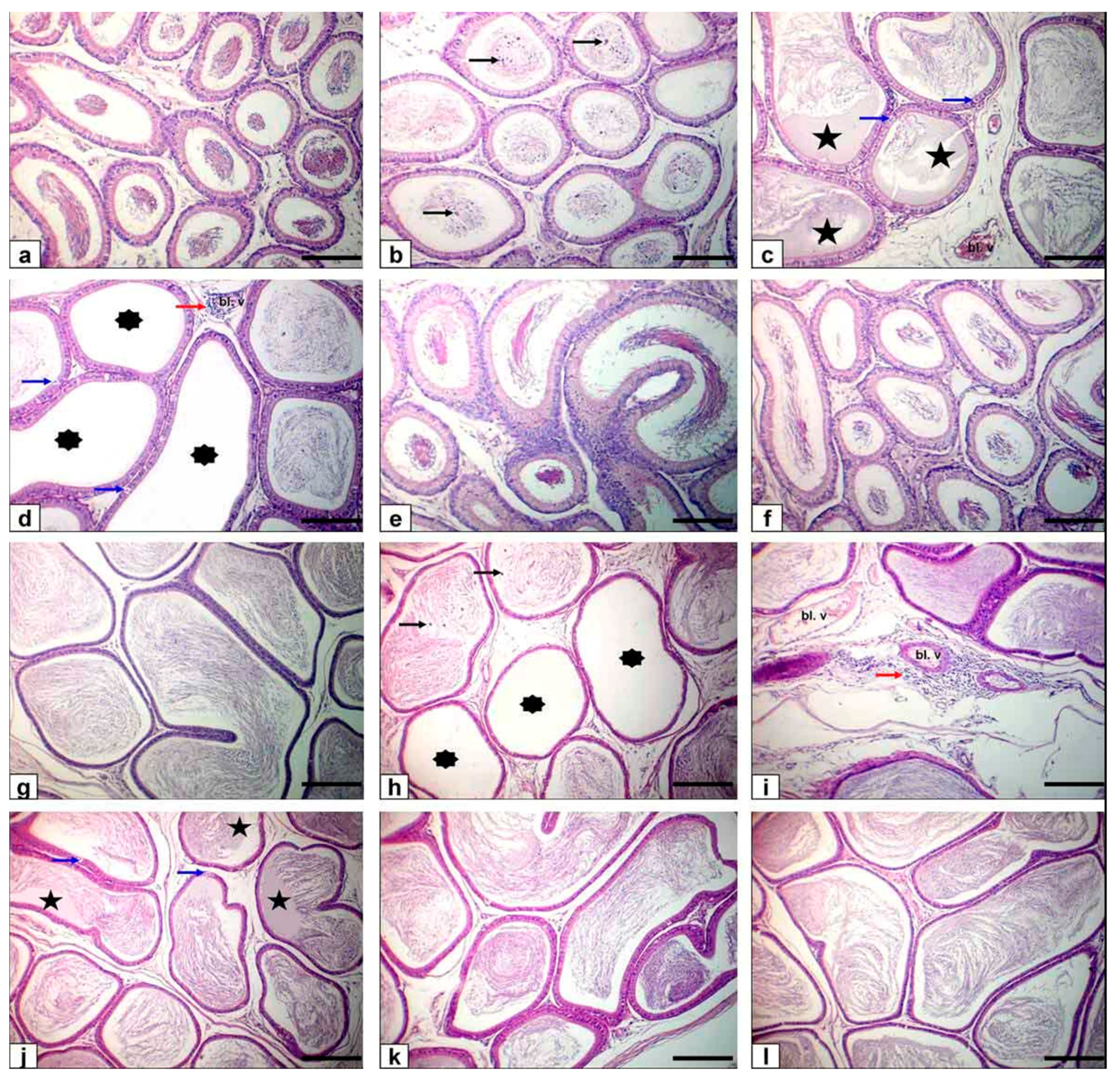 Animals 11 01302 g004 Animals 11 01302 g004