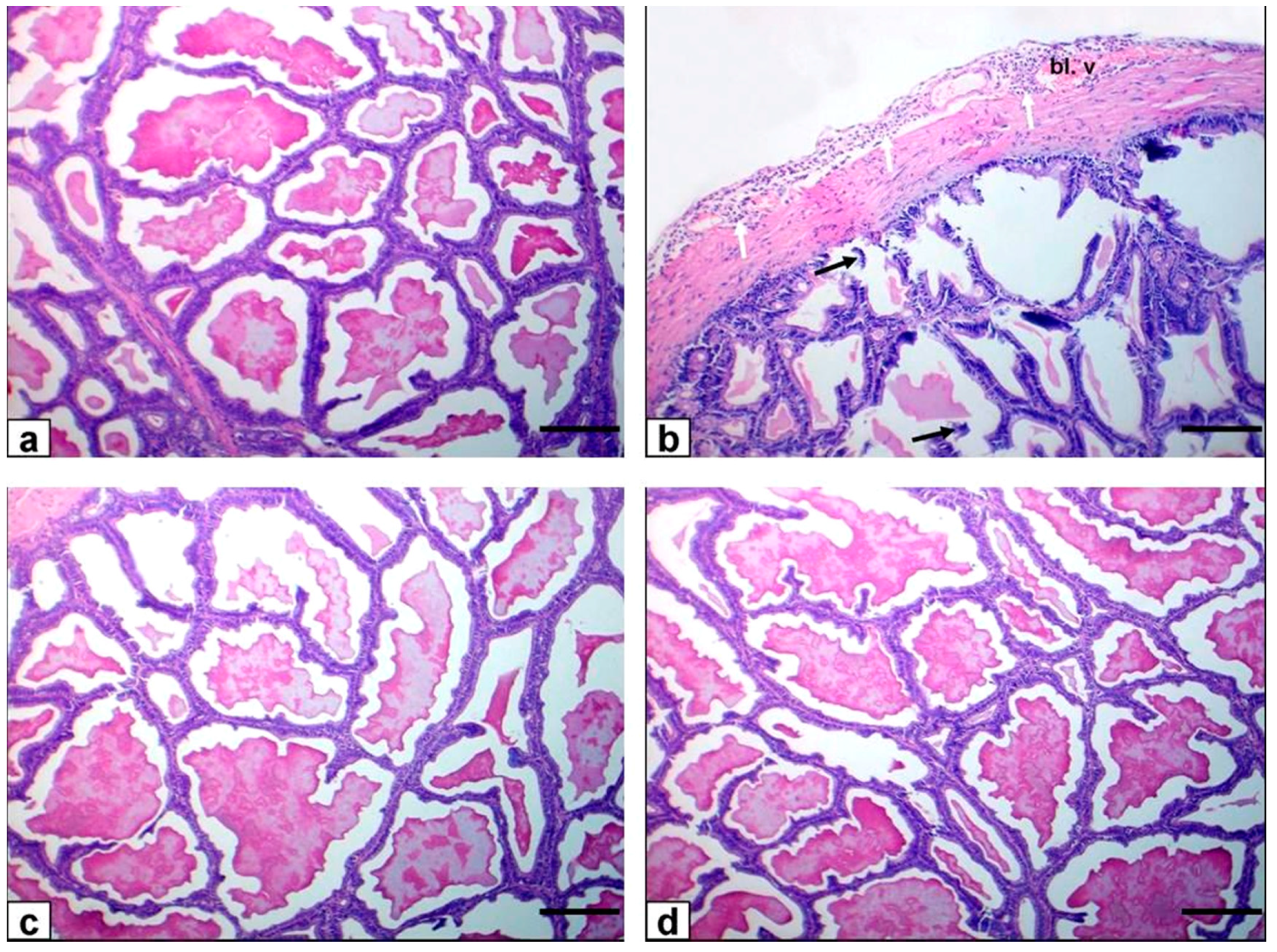 Animals 11 01302 g006 Animals 11 01302 g006