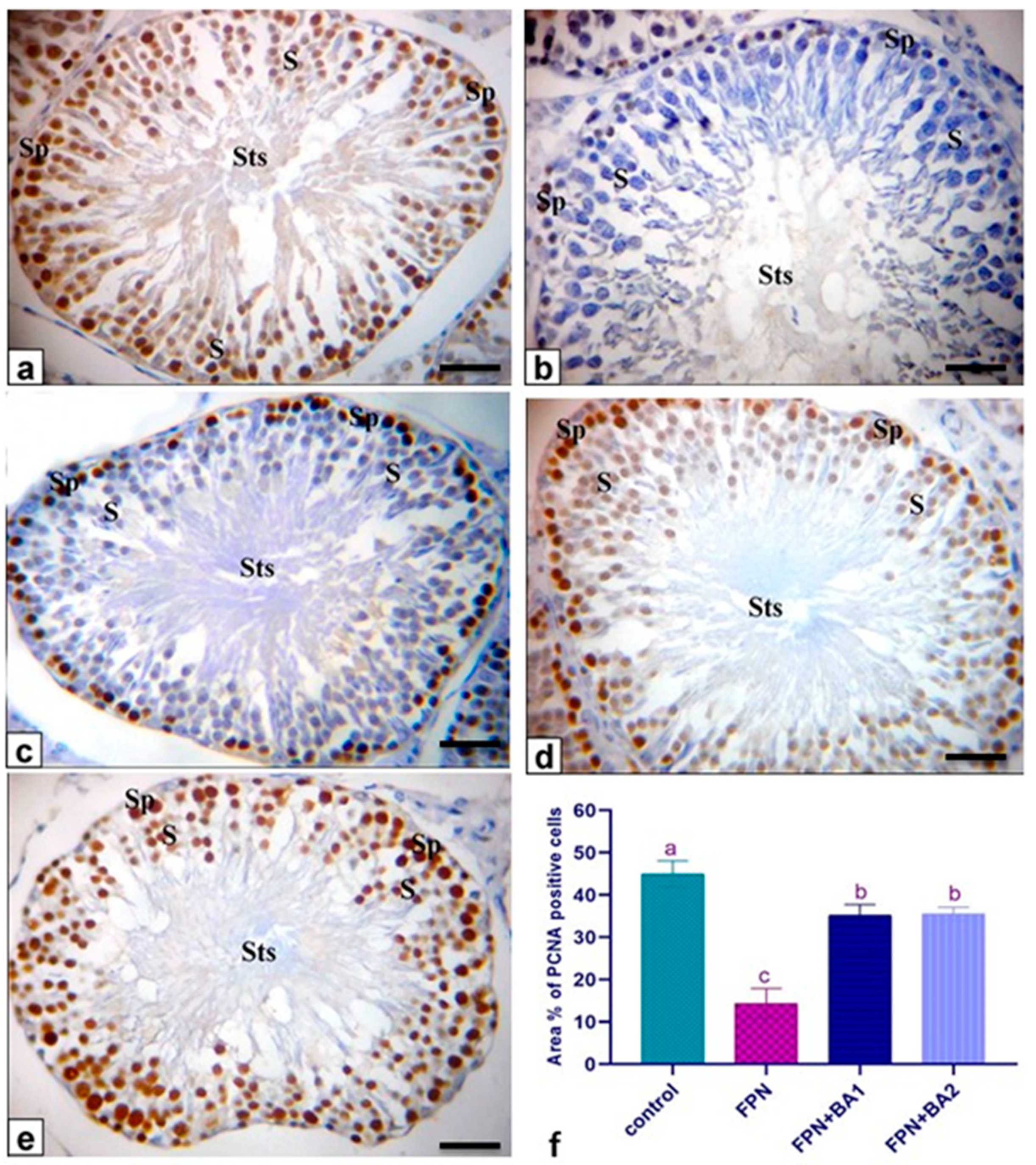 Animals 11 01302 g007 Animals 11 01302 g007