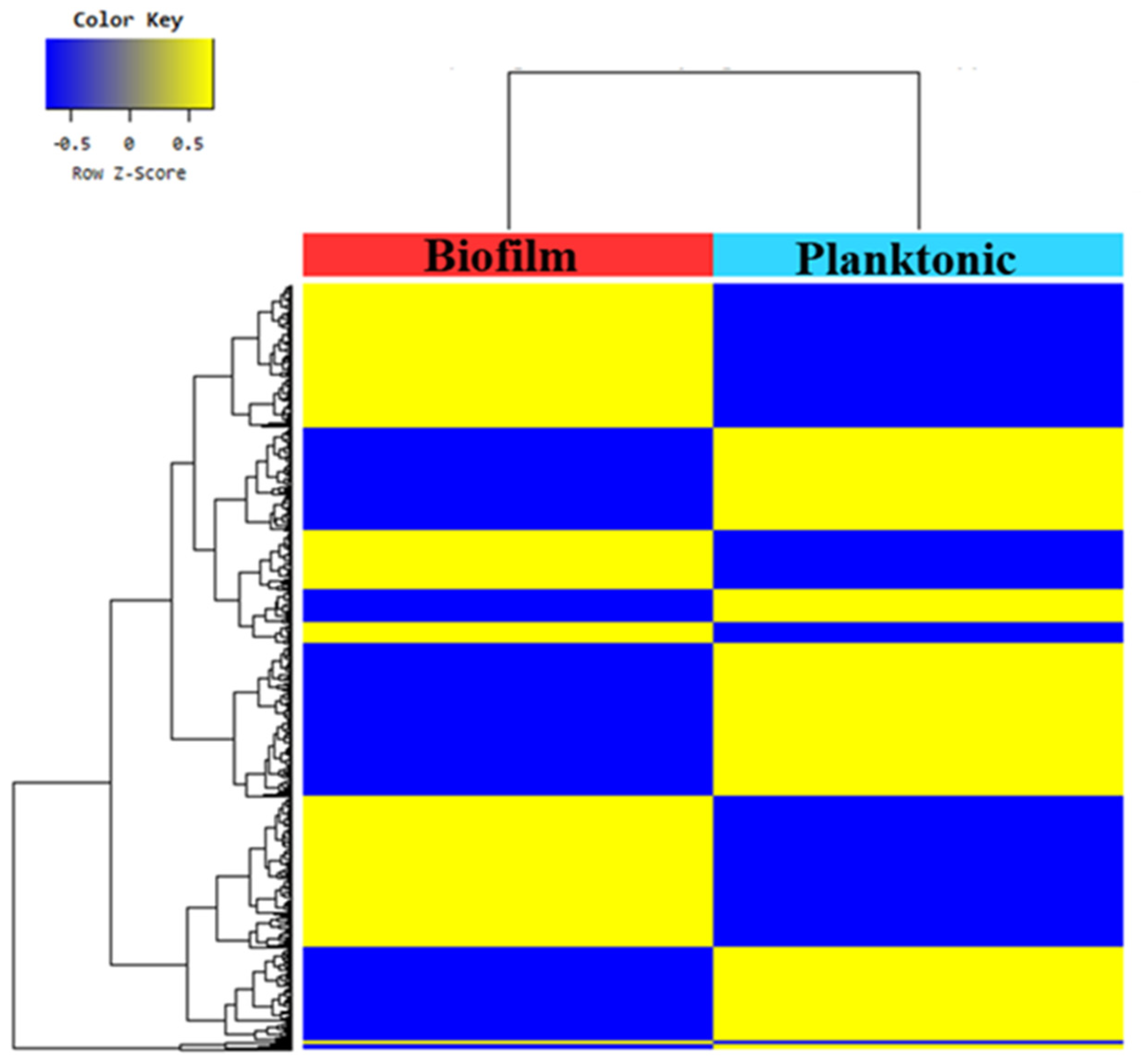 Animals 11 01306 g003