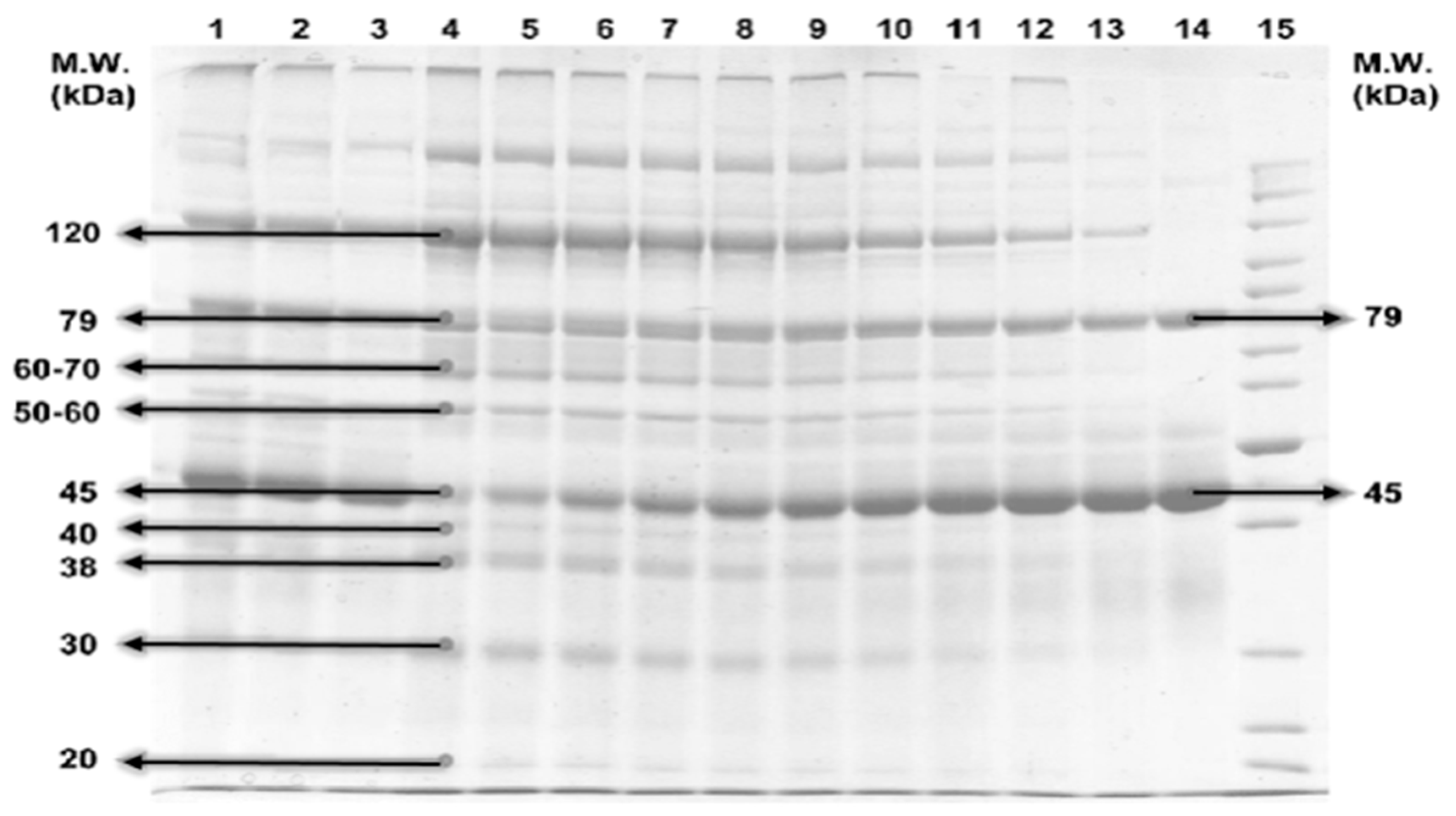 Animals 11 01308 g001