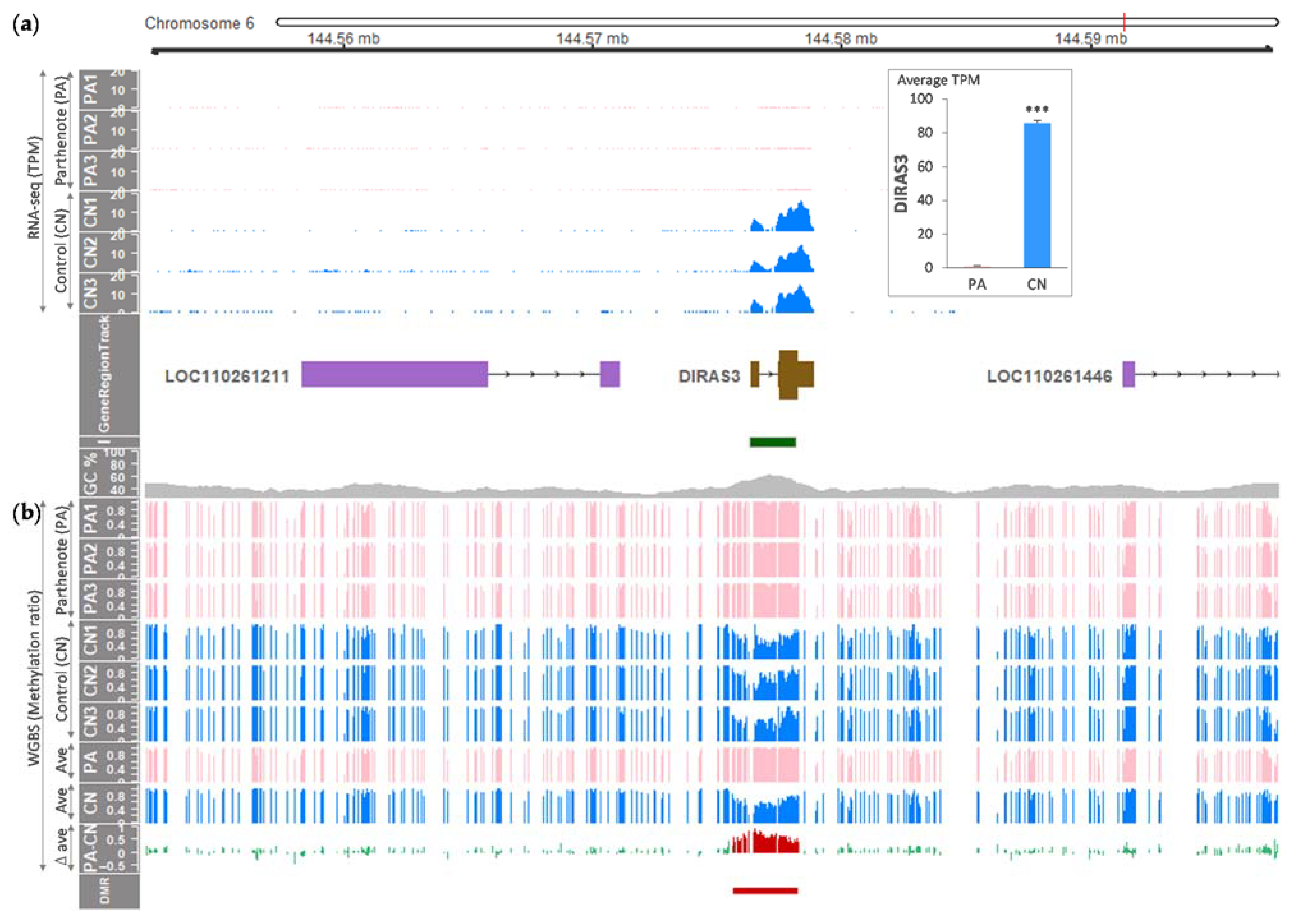 Animals 11 01315 g001 Animals 11 01315 g001