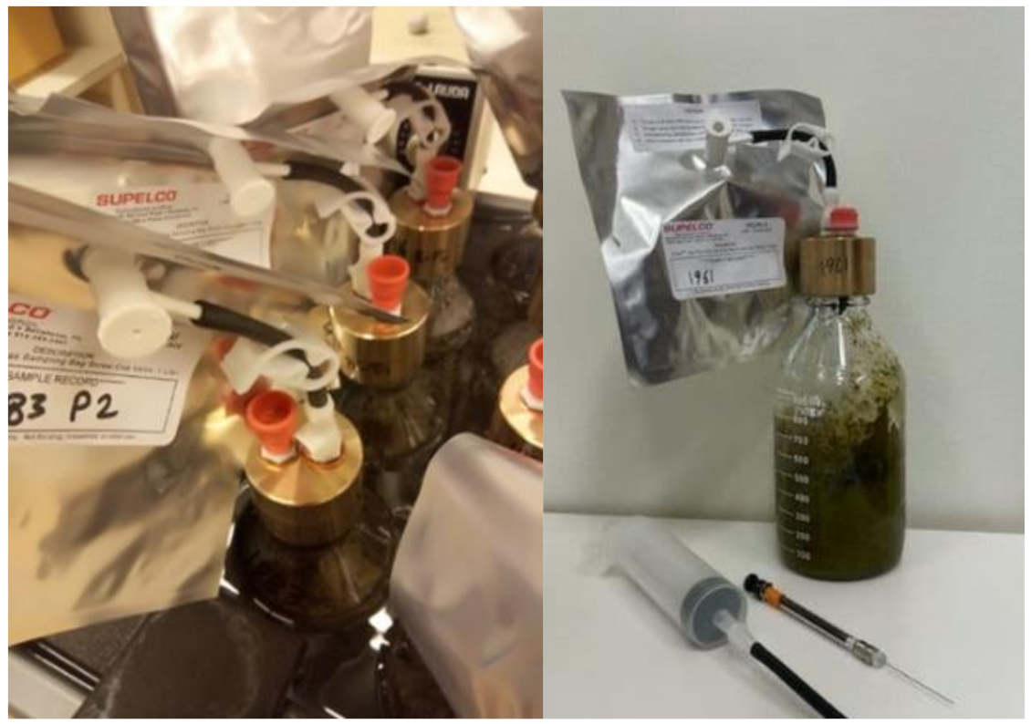 Animals 11 01322 g001 Animals 11 01322 g001