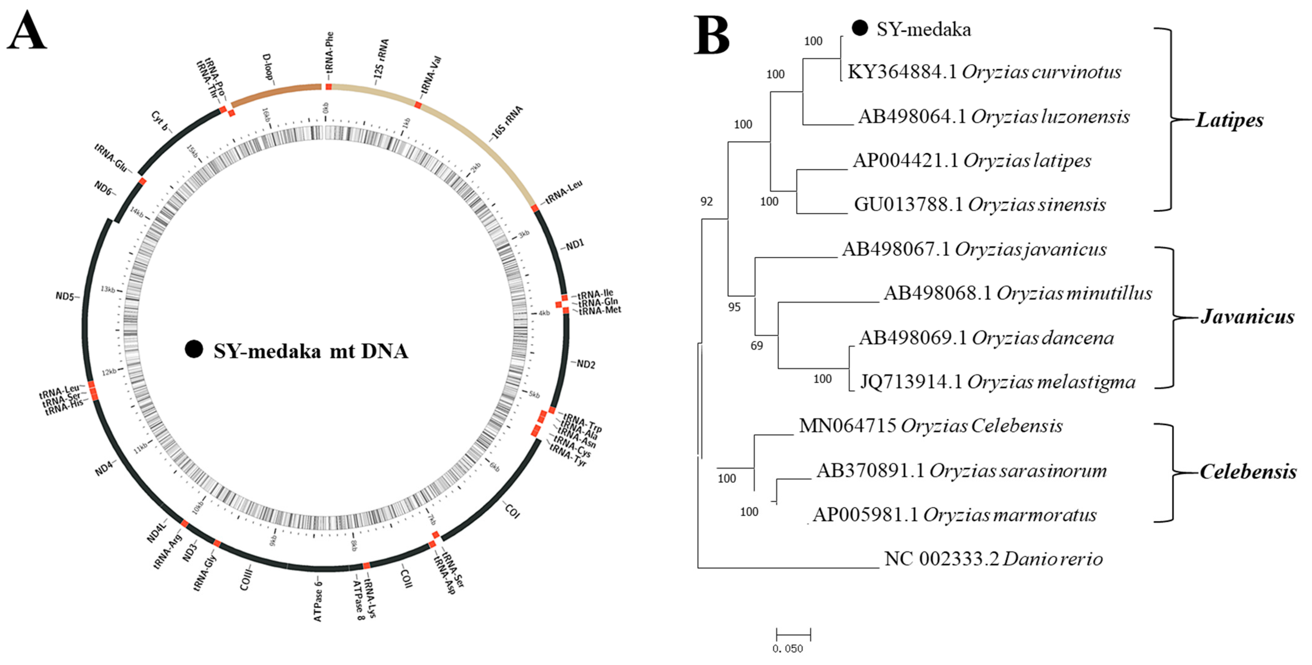 Animals 11 01327 g001 Animals 11 01327 g001