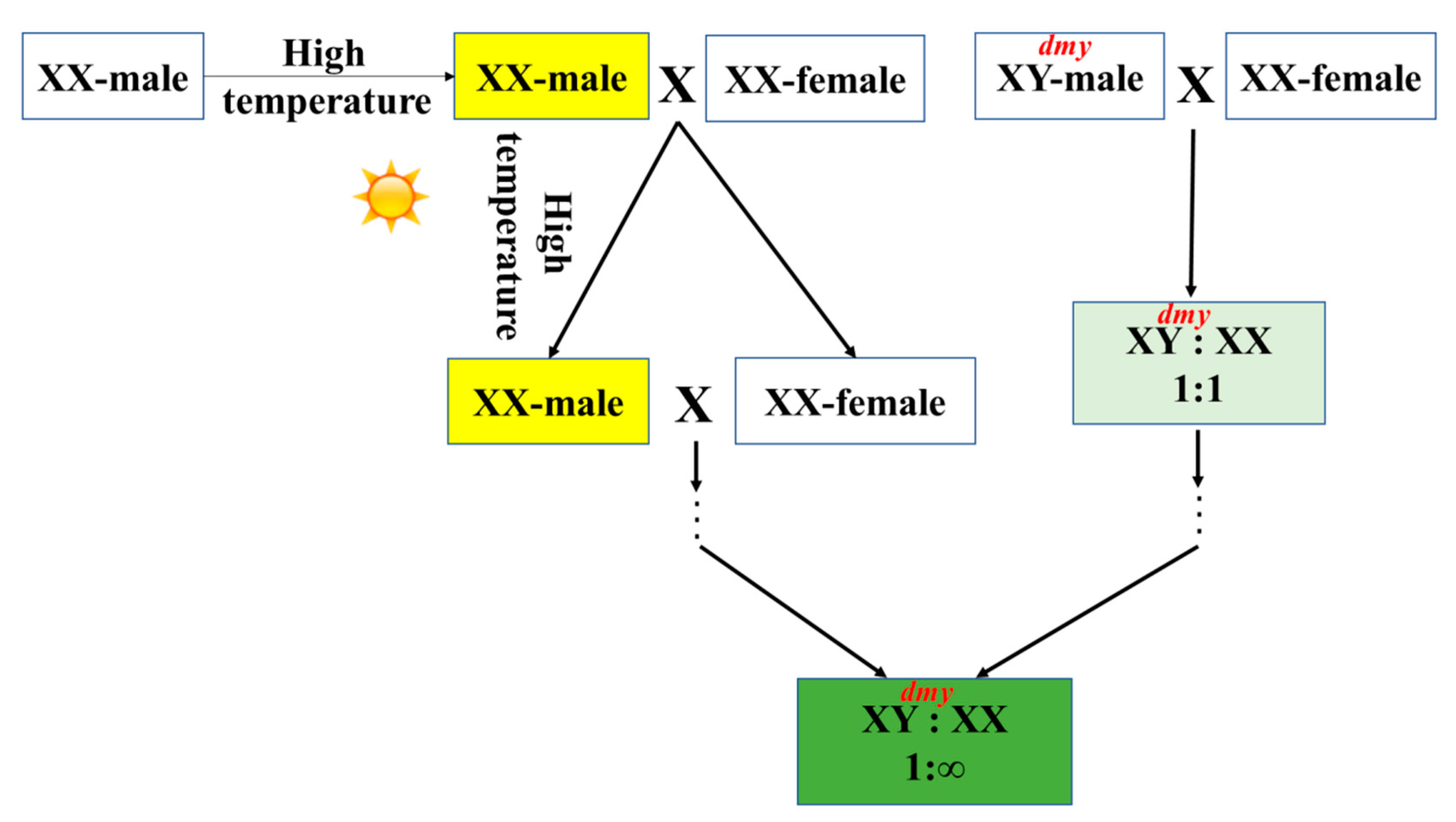 Animals 11 01327 g004 Animals 11 01327 g004