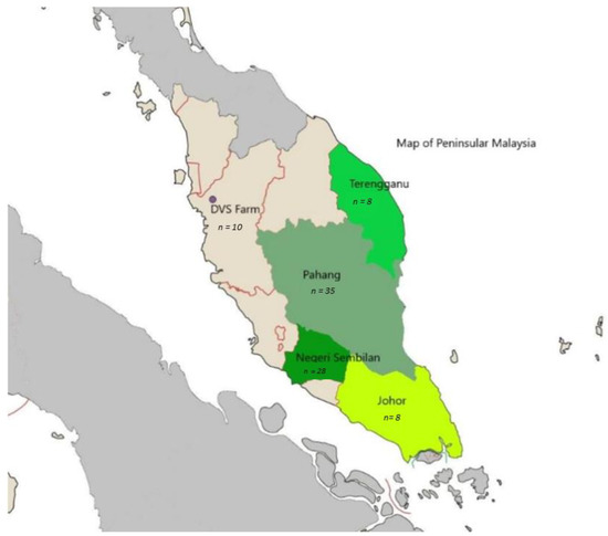 Animals Free Full Text Microsatellite Based Genetic Characterization Of The Indigenous Katjang Goat In Peninsular Malaysia Html