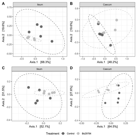 Bacillus Subtilis 29784 as a Feed Additive for Broilers