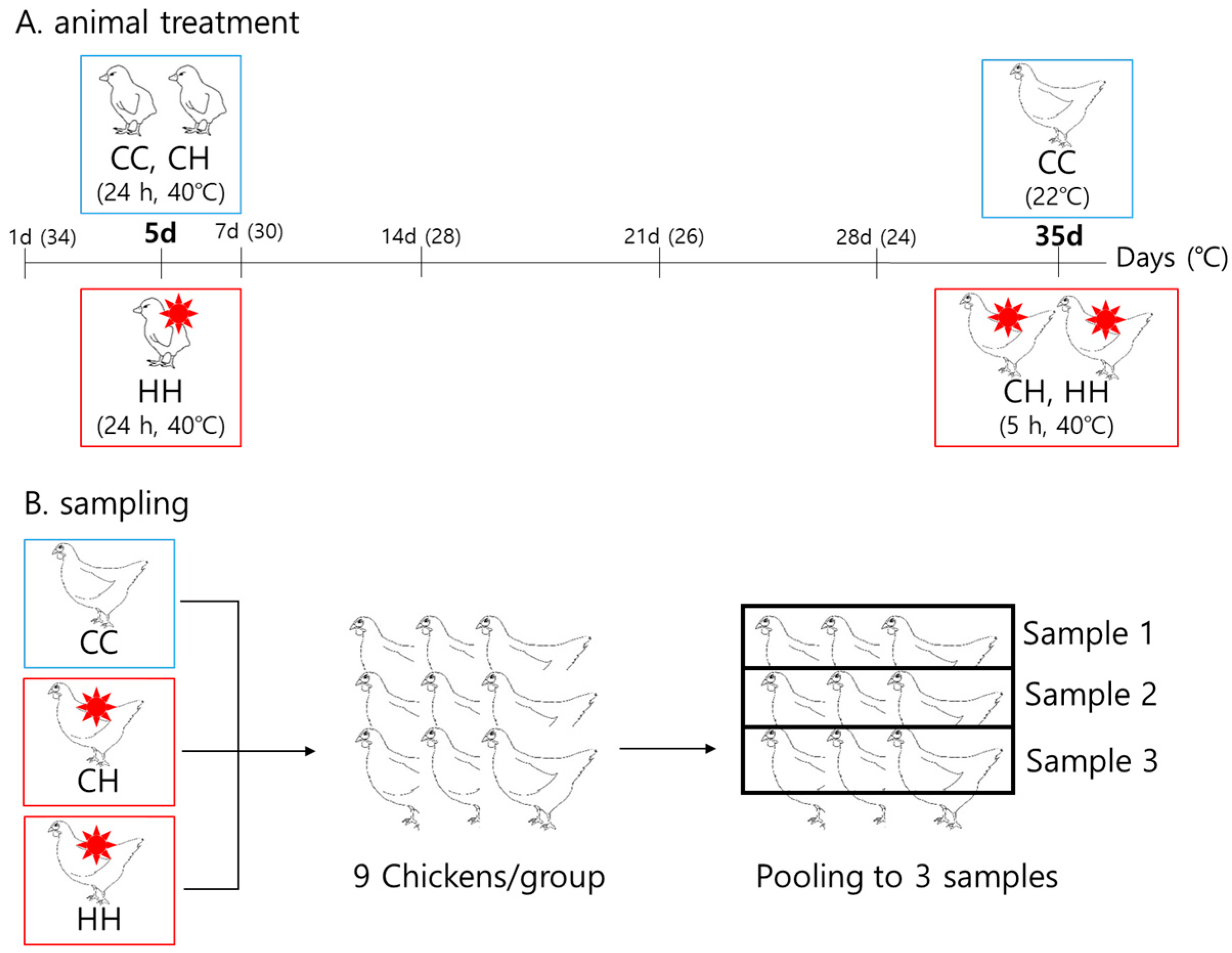 Animals 11 01338 g001
