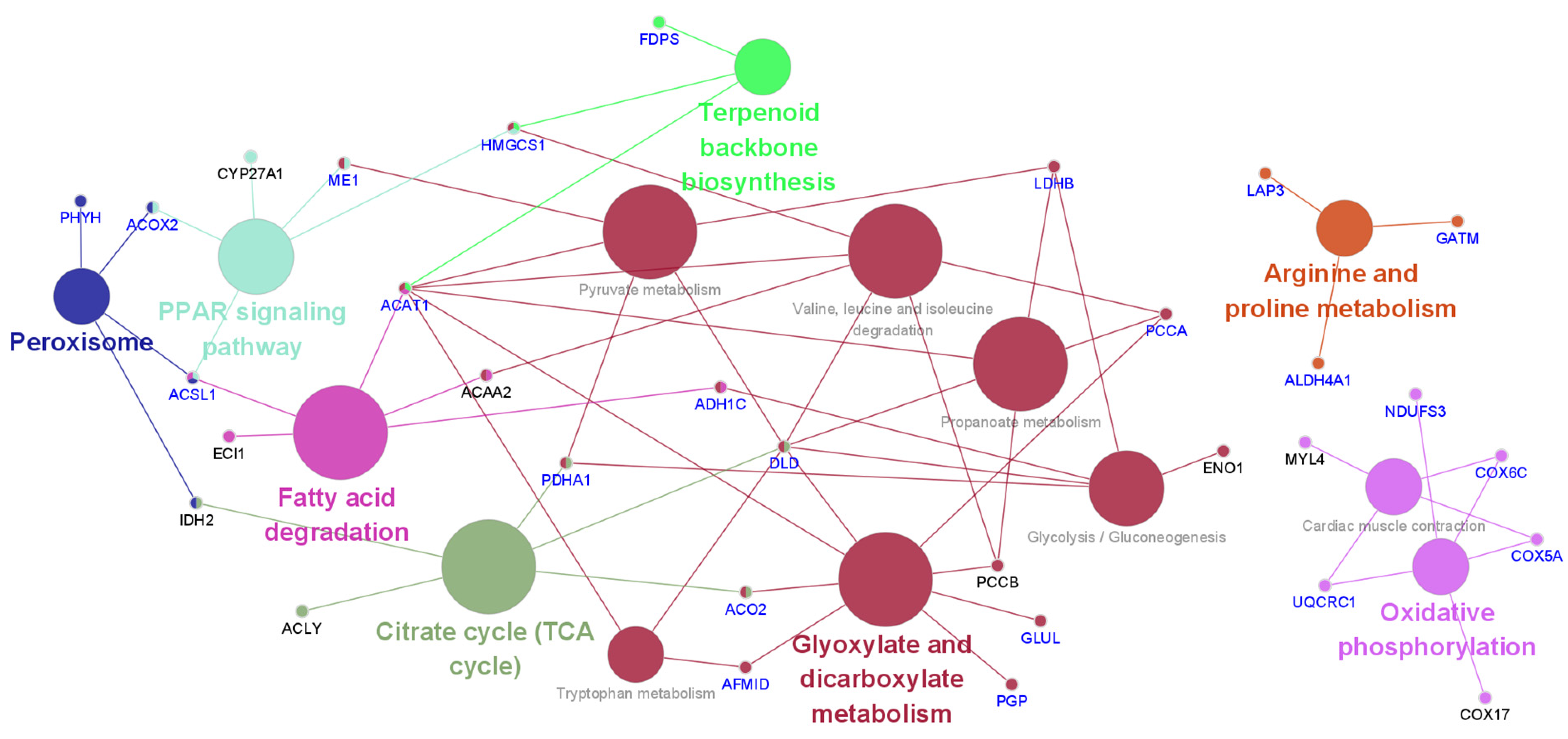 Animals 11 01338 g004