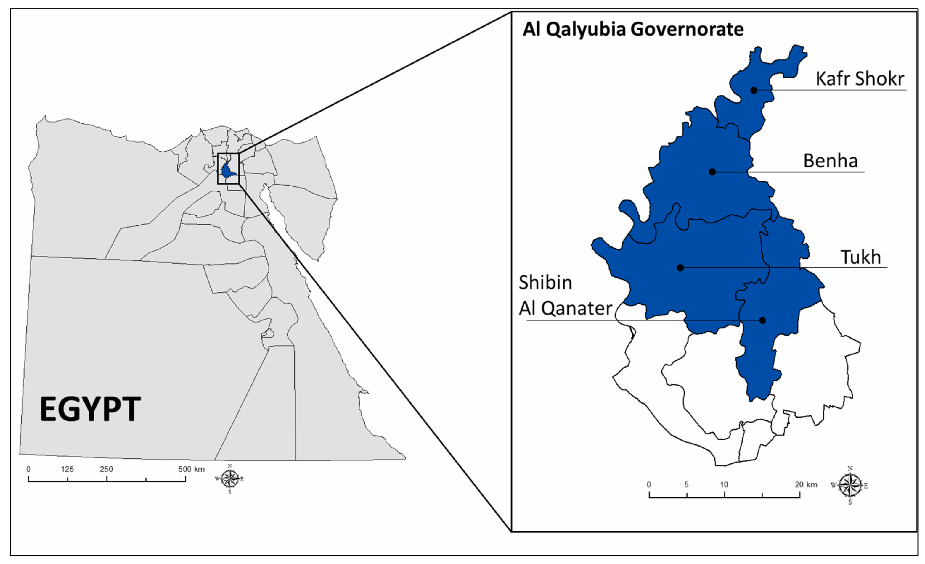 Animals 11 01354 g001