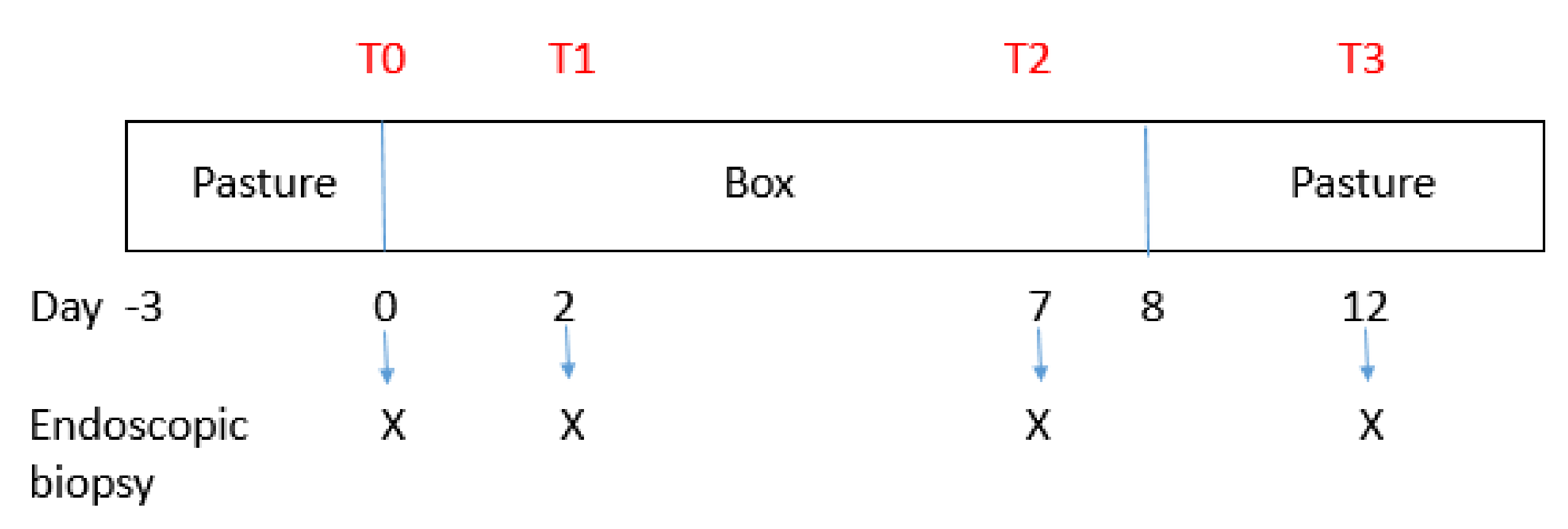 Animals 11 01376 g002 Animals 11 01376 g002